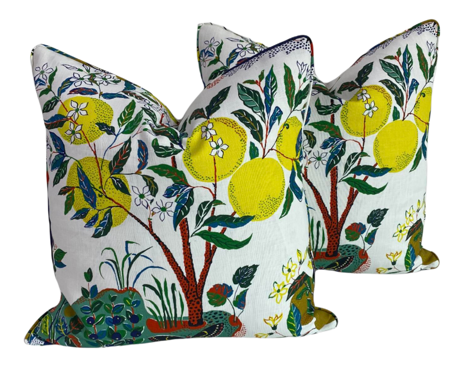 Schumacher Citrus Garden Indoor and Outdoor Pillows Set of 2 Chairish