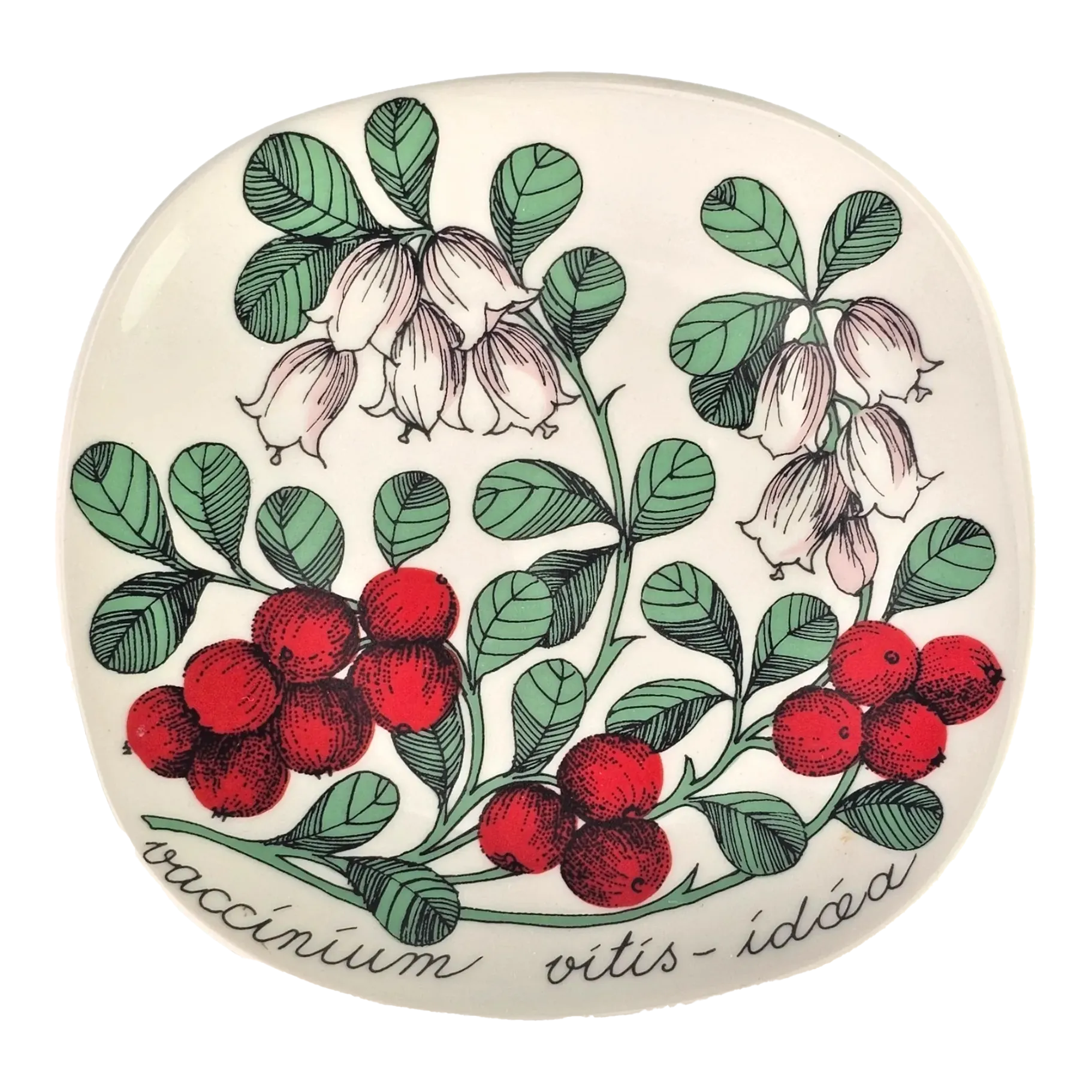 mid-century-arabia-finland-