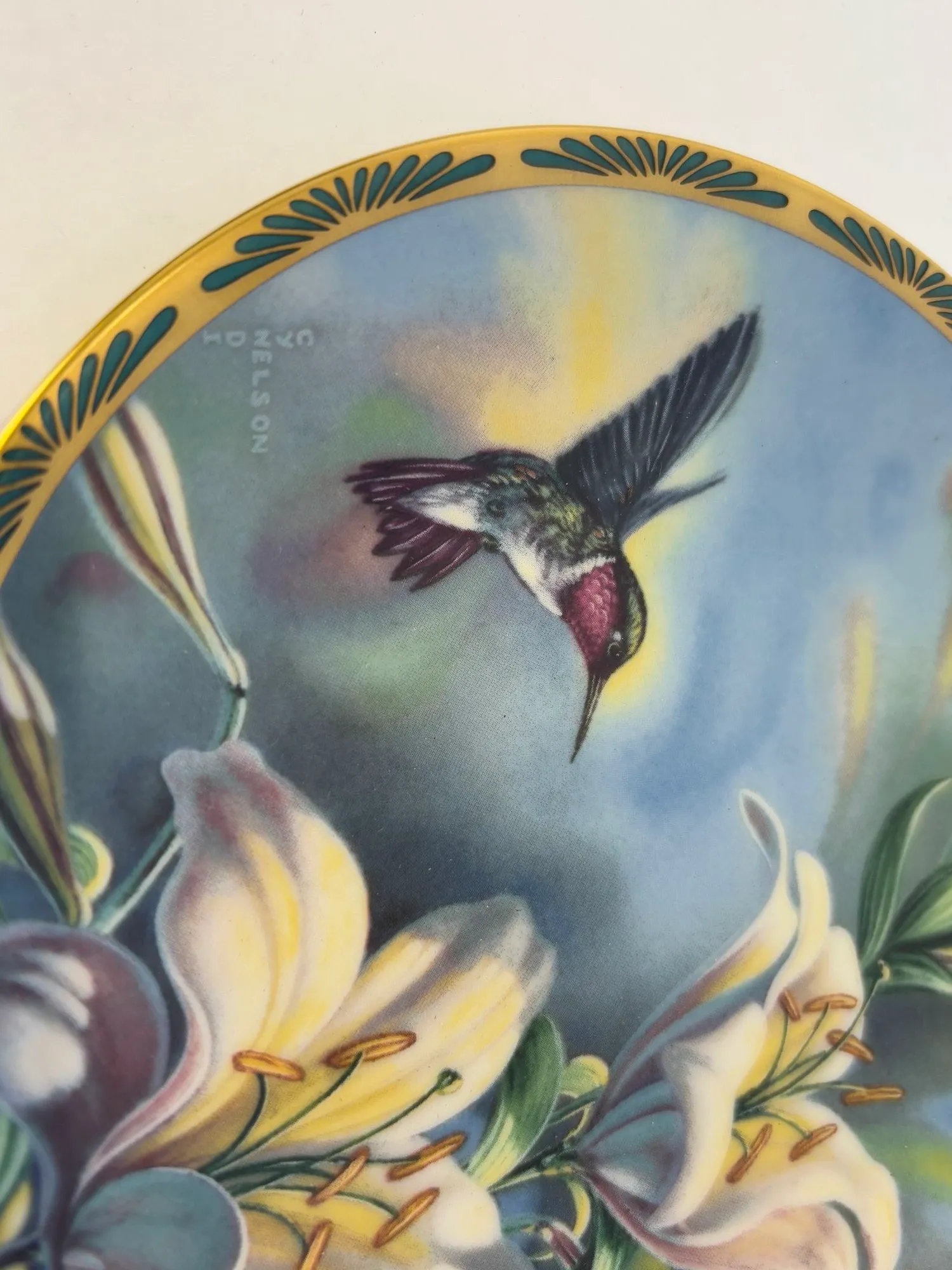 Gems of Nature the Beautiful Hummingbirds by Cyndi Nelson | Chairish
