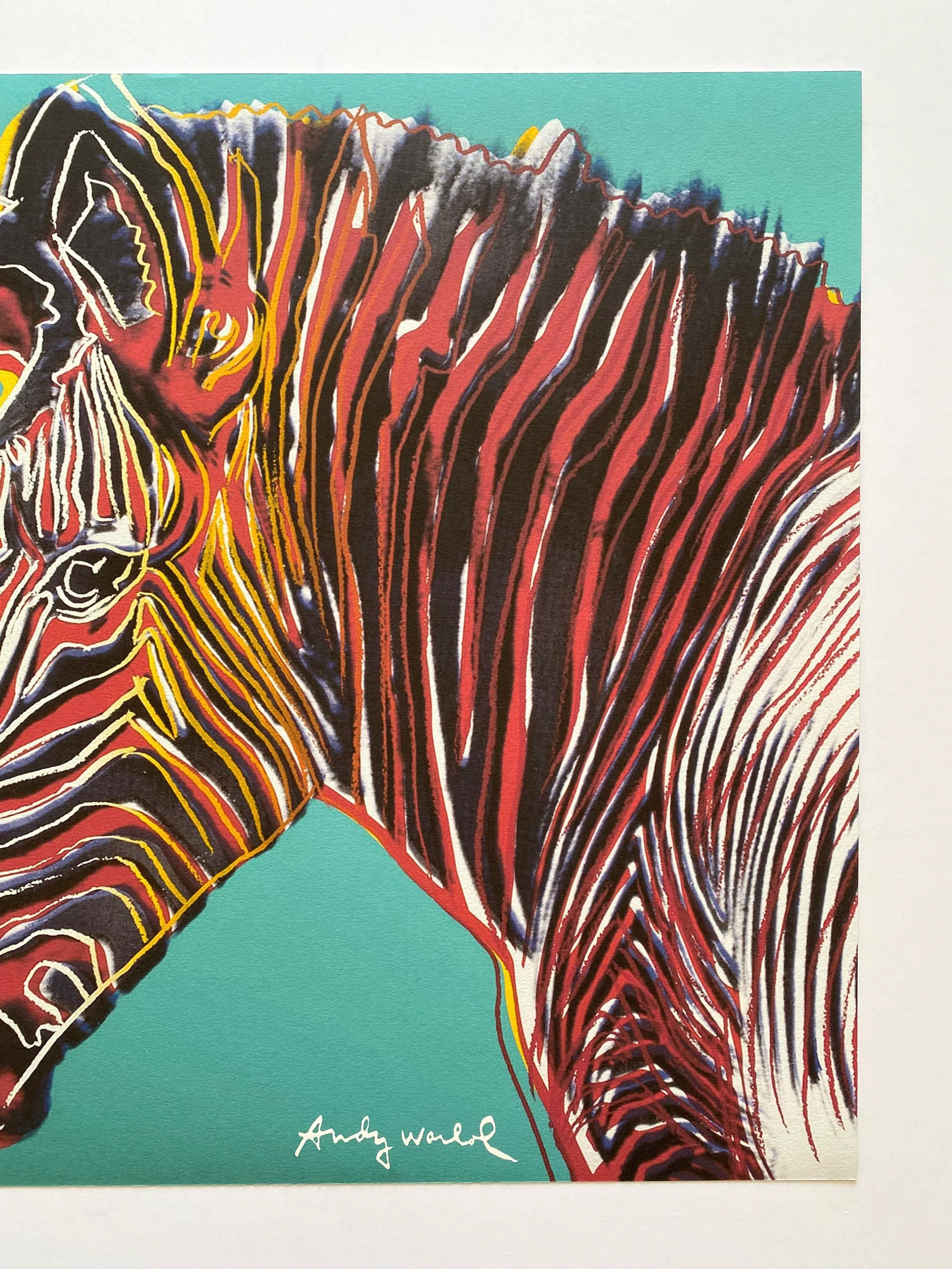 Andy Warhol 　写真集　レア！ artoncontemporary-andrew-