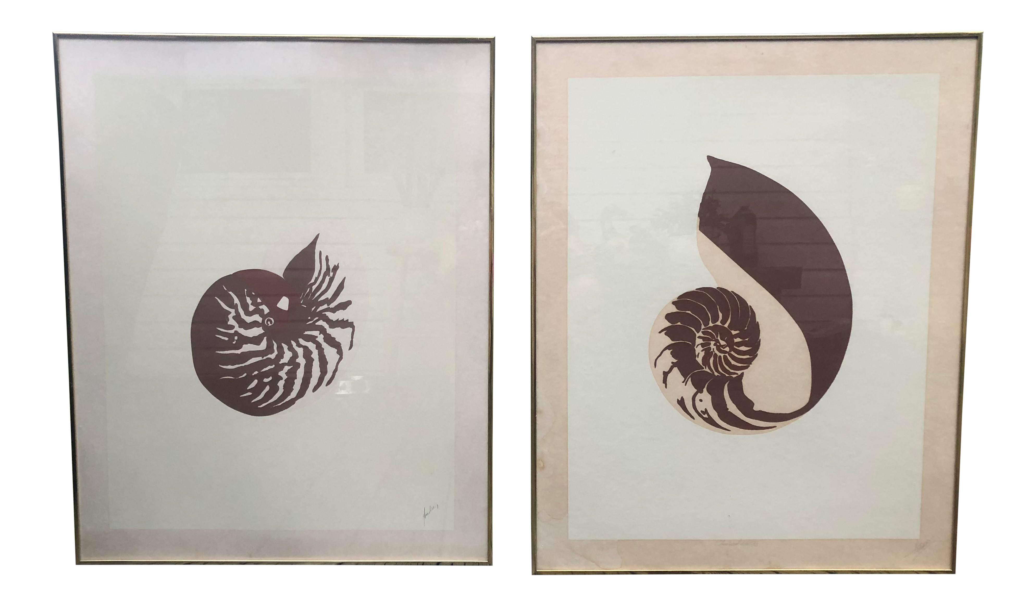 Vintage Van Guard Studio Nautilus Shell Lithographs A Pair Chairish