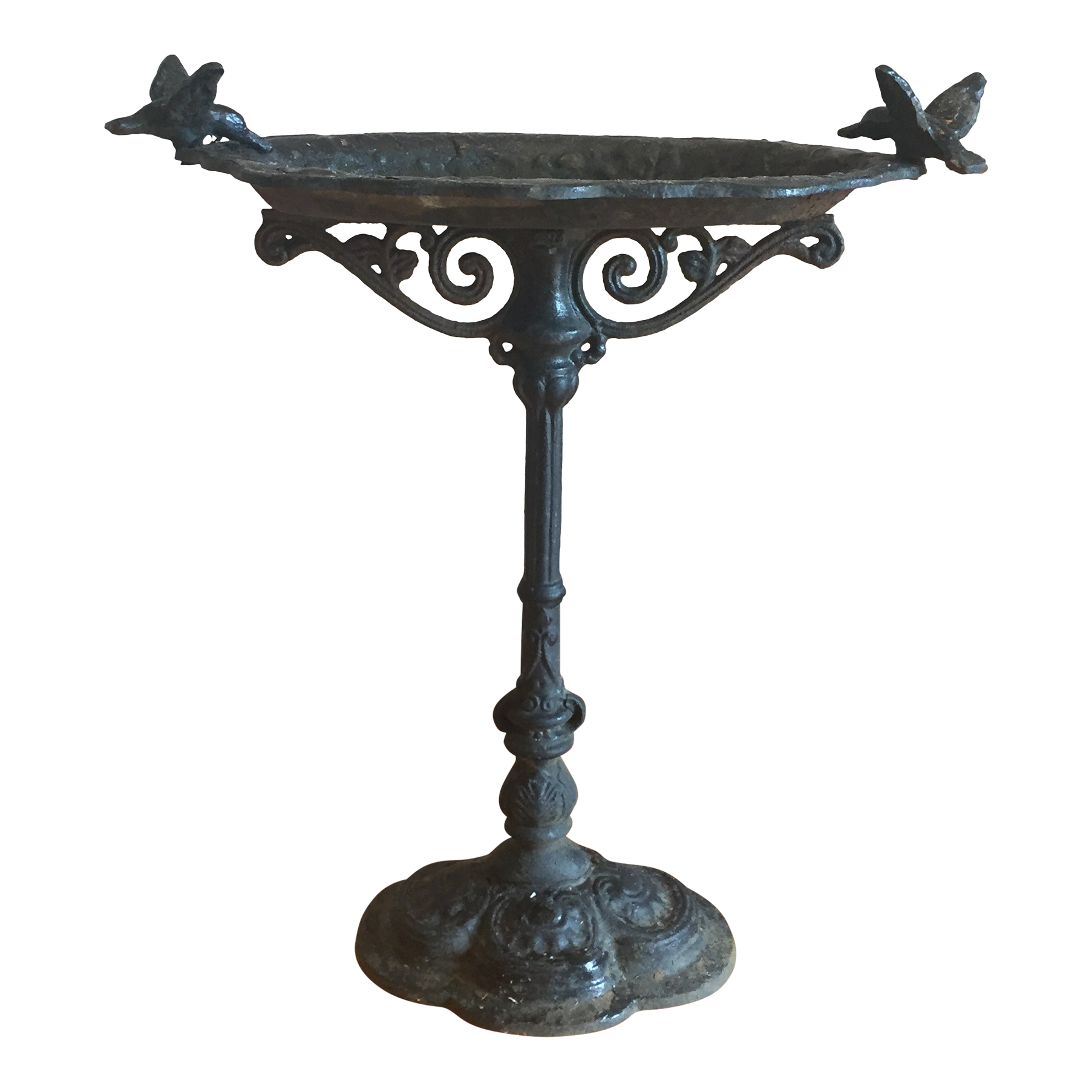 Vintage French Cast Iron Bird Bath Chairish