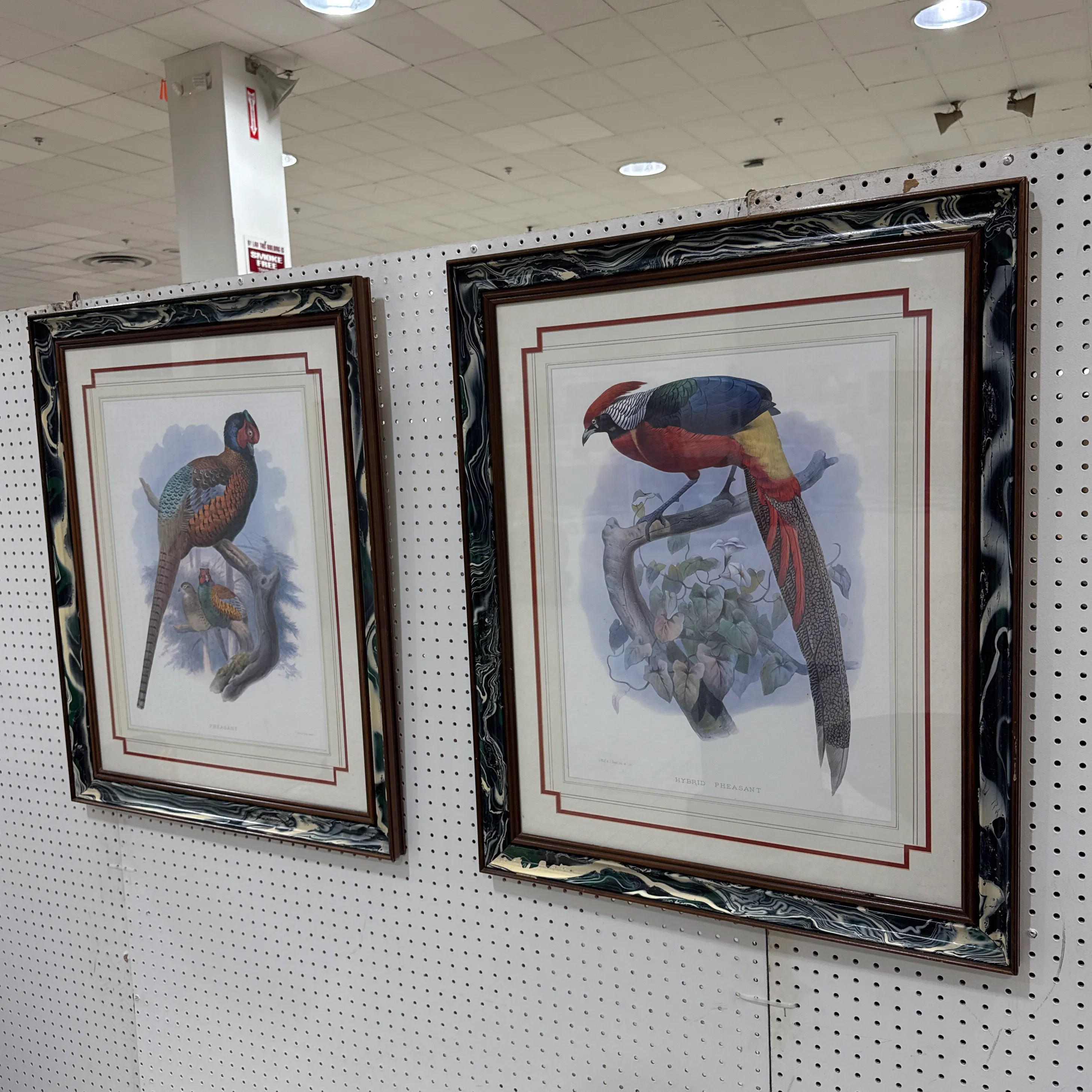 Vintage Pheasant Prints in Custom Lacquered Frames ~ a Pair