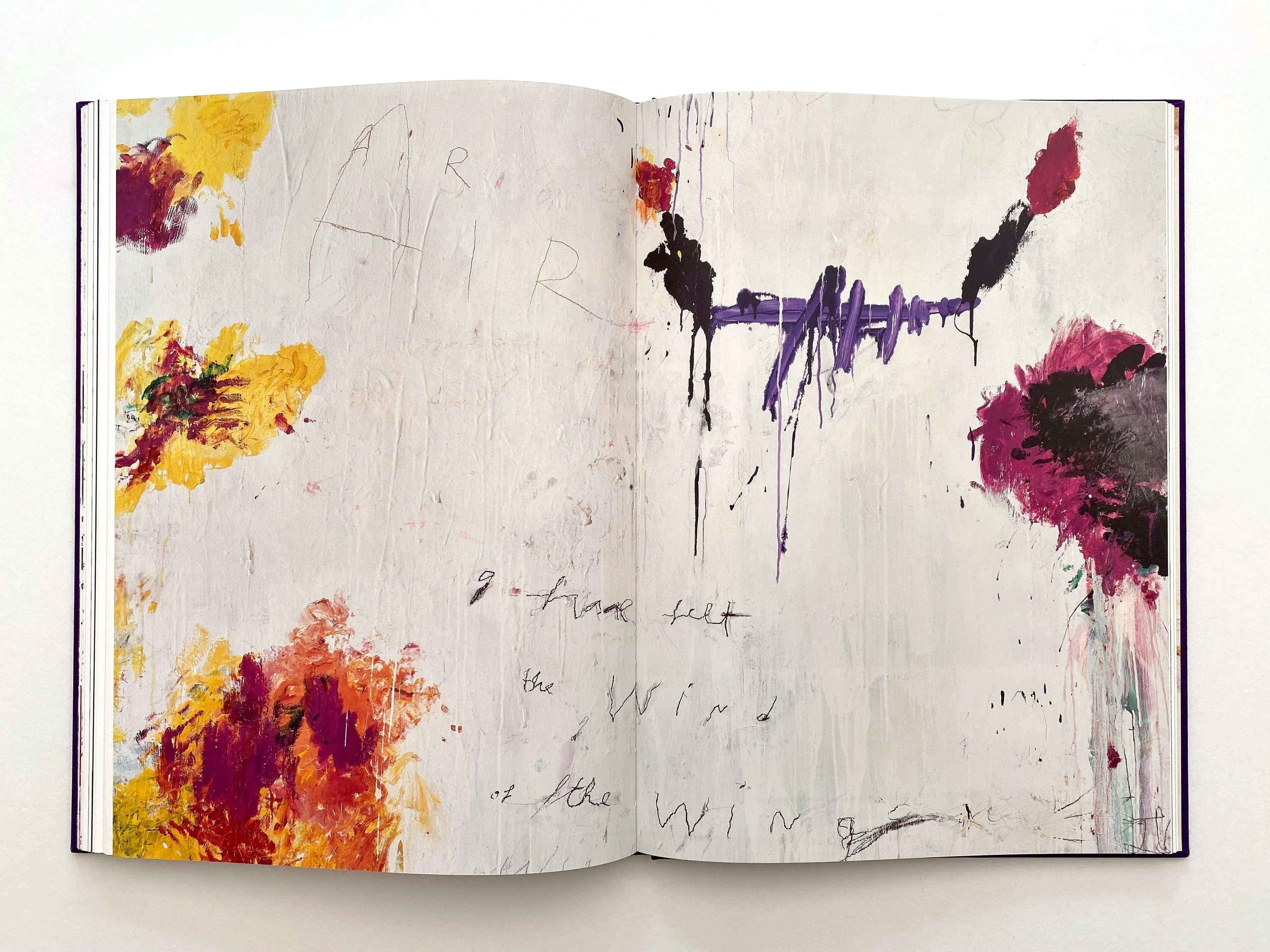 CY TWOMBLY アート作品集 Prestel cy-twombly-paradise-abstract-
