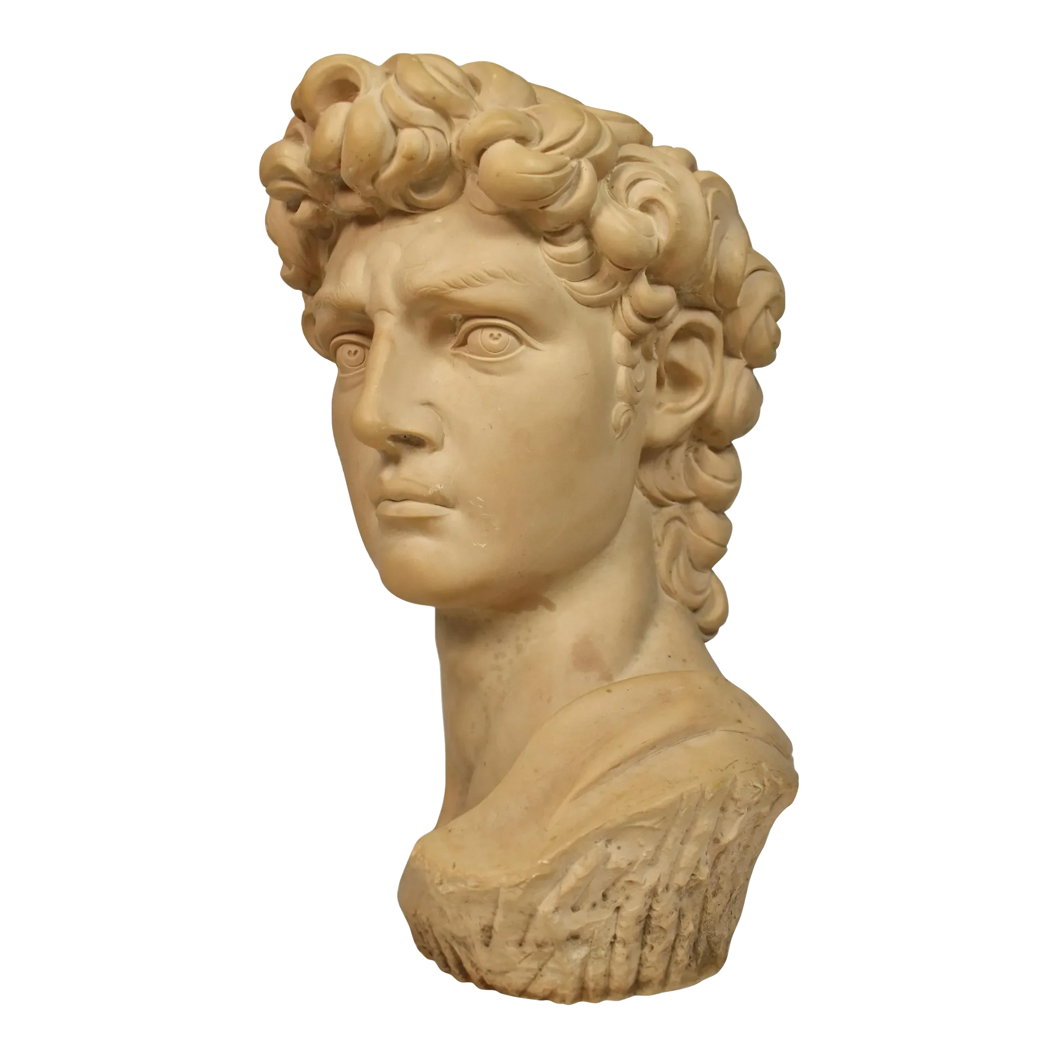 Late 20th Century Italian Bust of David After Michelangelo Made Signed