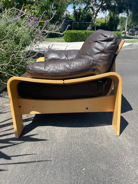 Vintage Bentwood and Leather 