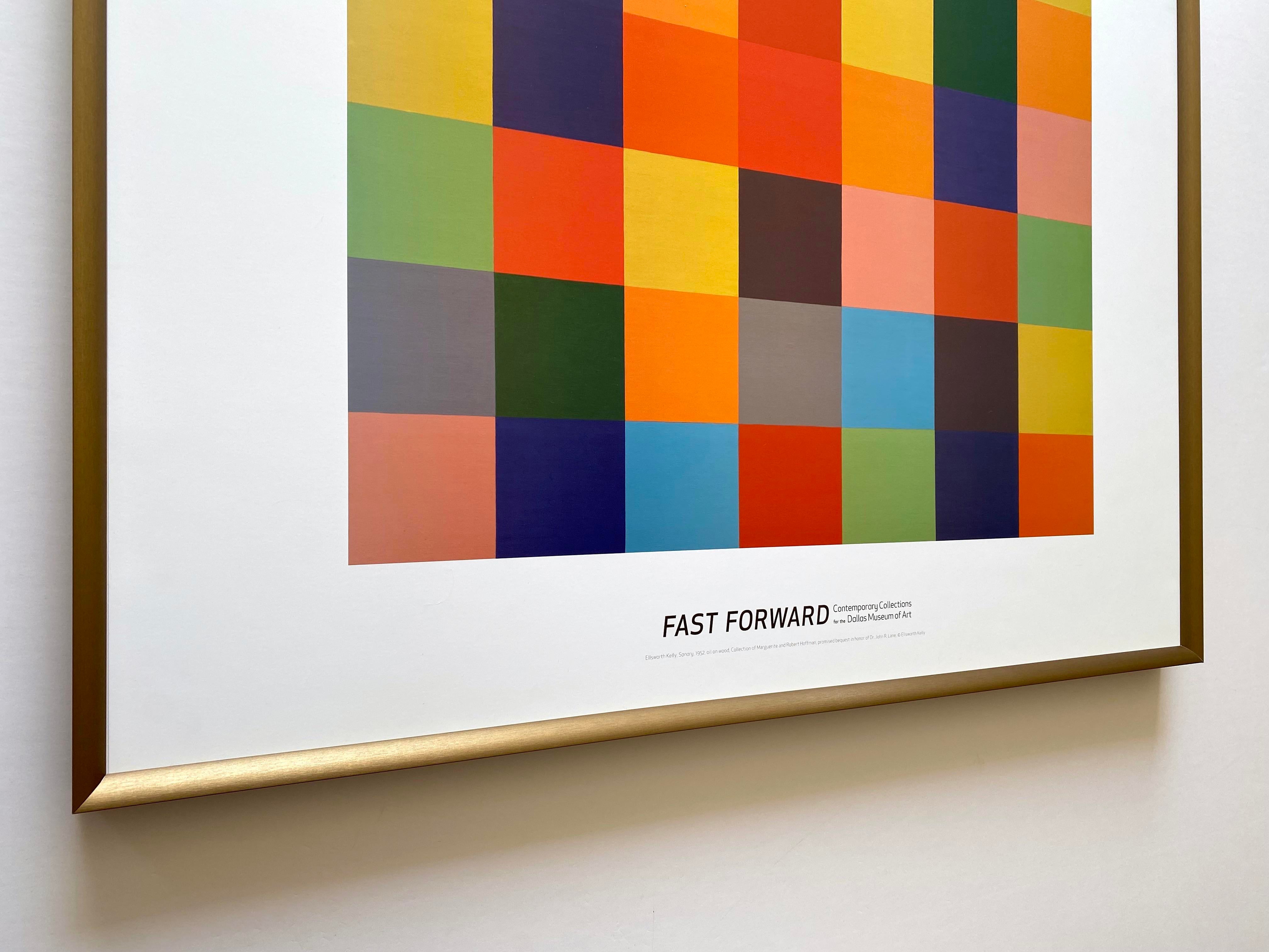 Ellsworth Kelly Modernist Offset Lithograph Print Framed