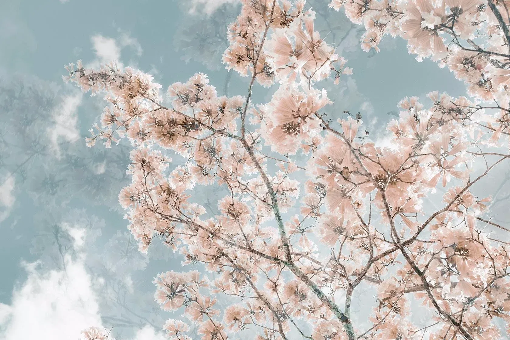 When I Dream of You, Contemporary Fine Art Photography by Kristin Hart