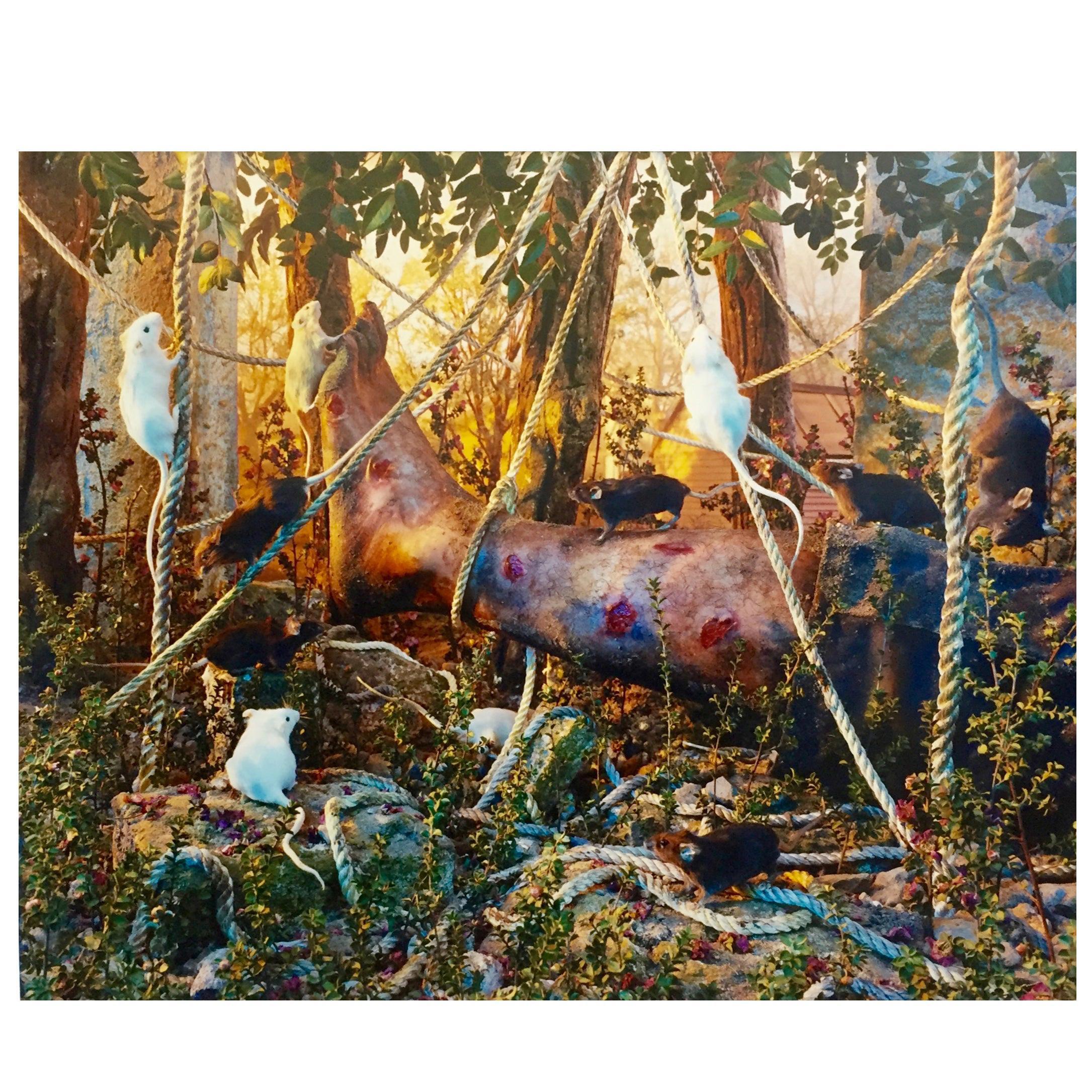 Gregory Crewdson Photograph | Chairish