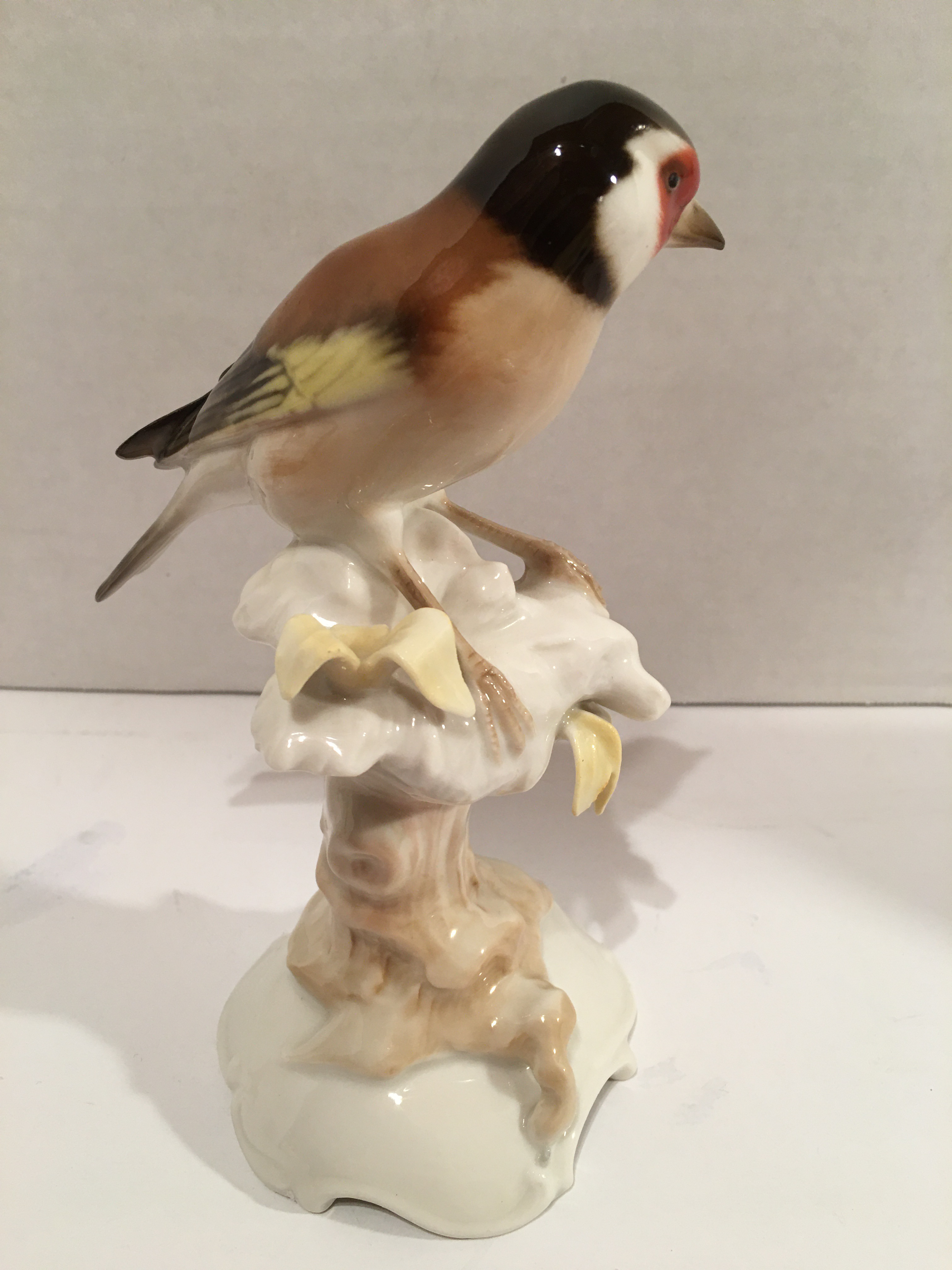 Hutschenreuther Germany Birds by K. Tutter - a Pair | Chairish Hutschenreuther Germany Birds by K. Tutter - a Pair | Chairish