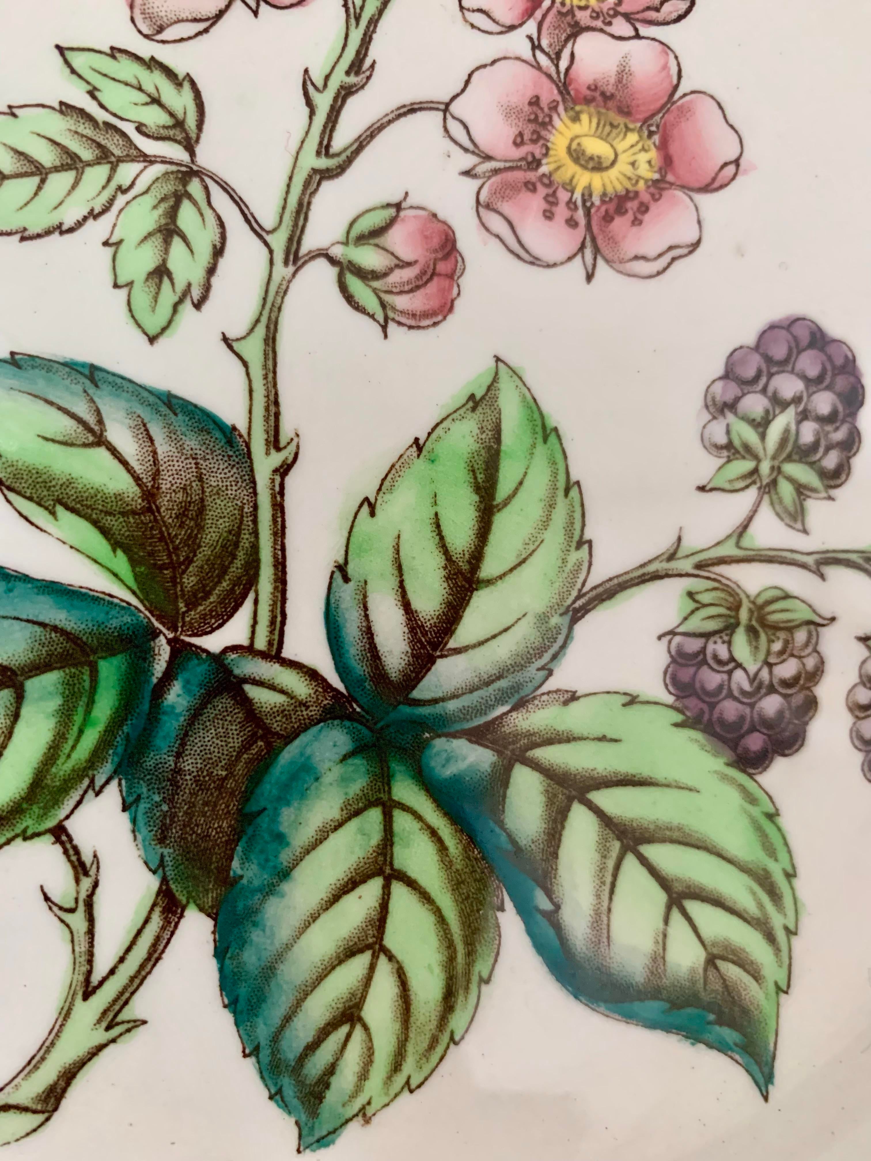 カドカド　Spode （イギリス製）Lobelia 花柄トレイ 170179992_o2.jpg? 食器