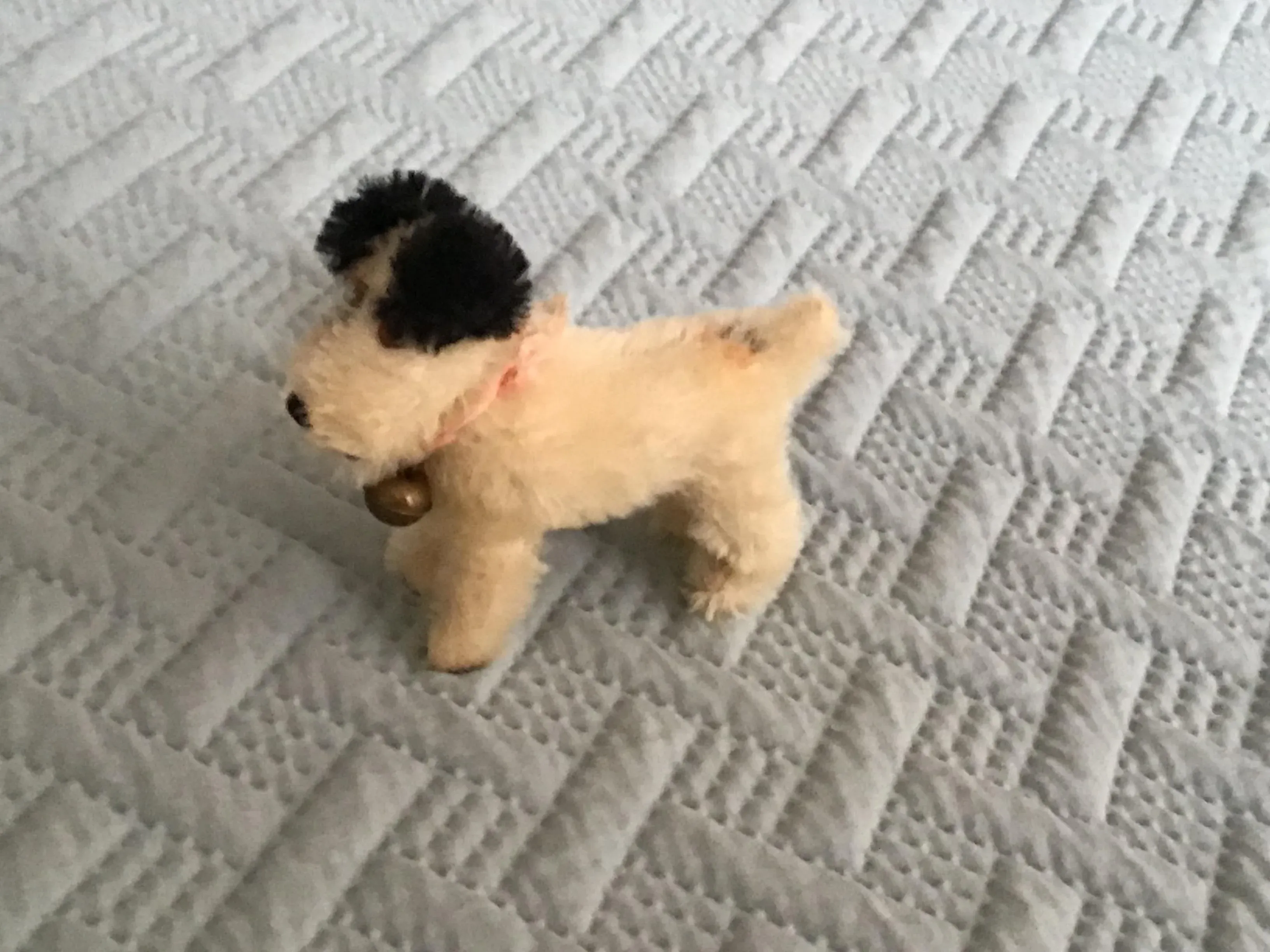 Steiff Foxy Fox Terrier 14" Plush Toy - Genuine Mohair, Made In Germany With Ear Button - View #10