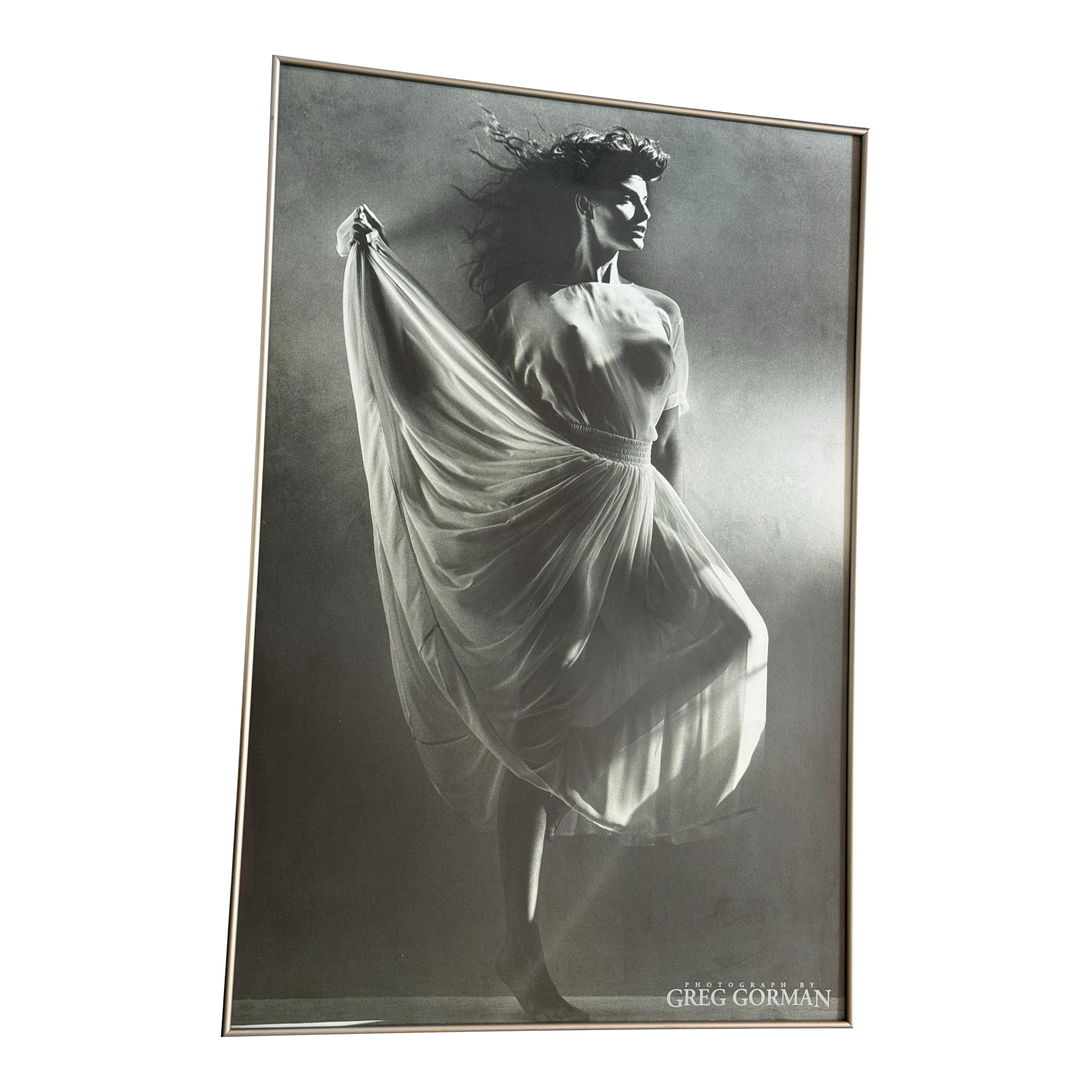 Greg Gorman FRAMED 作品集 Greg Gorman: Framed: For L.A. Eyeworks: Sischy, Ingrid, Fahey