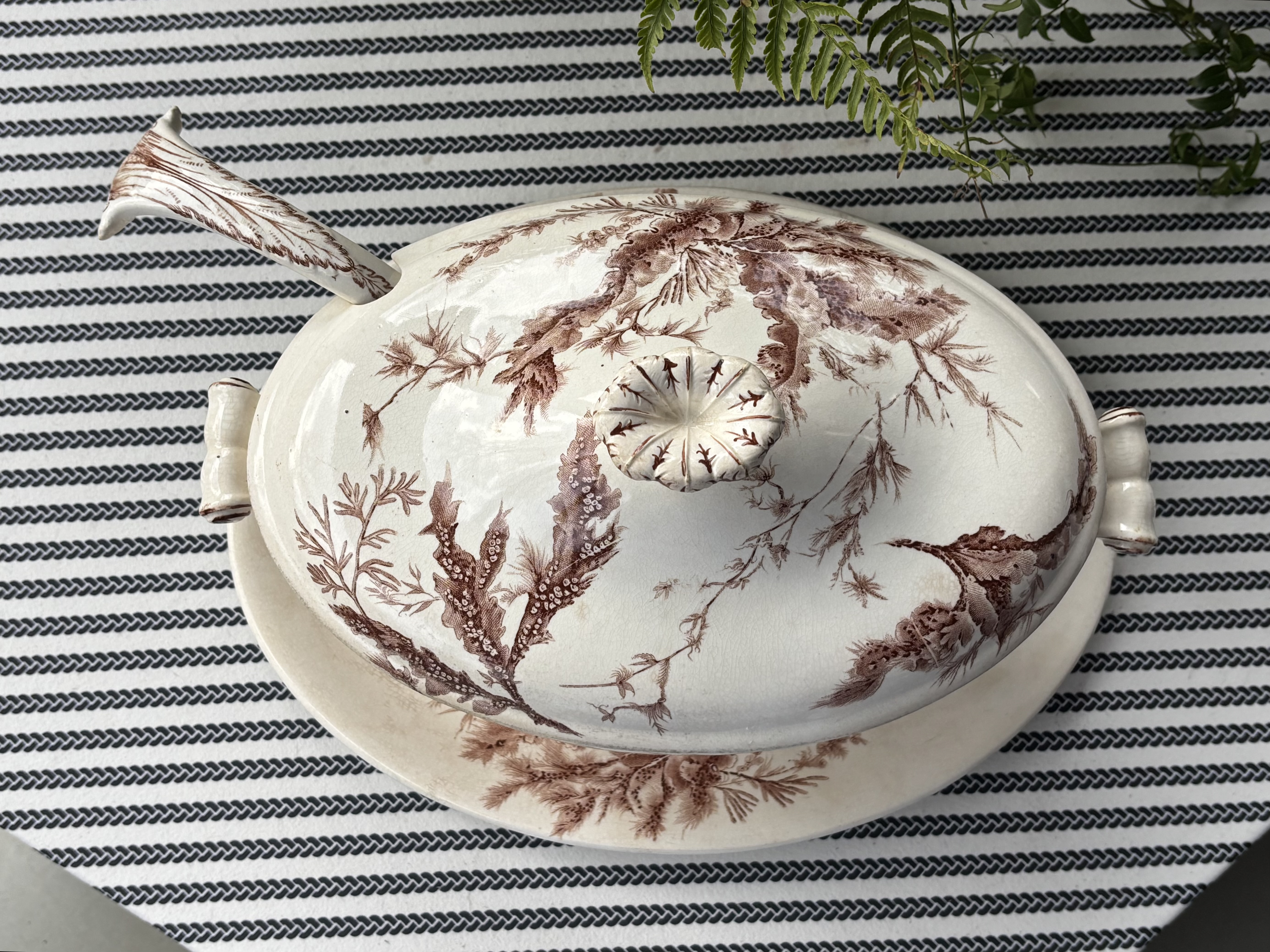 Antique Wedgwood Brown 