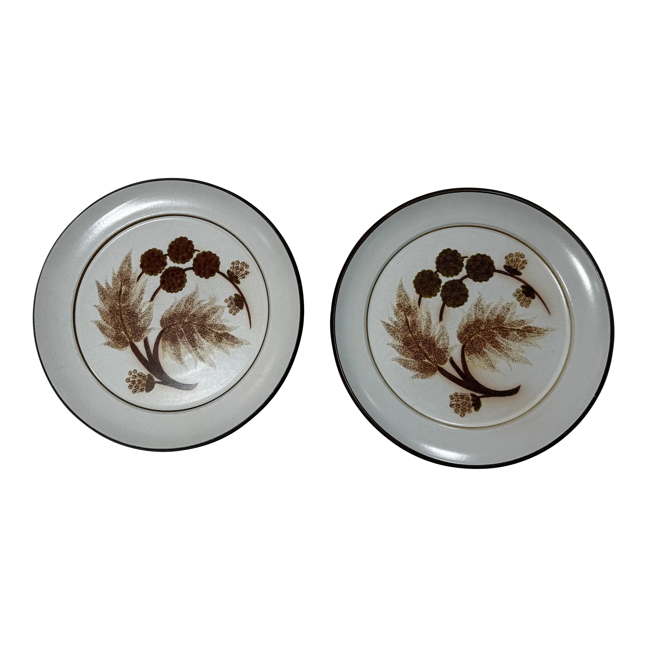 1980s DENBY-Langley Cotswold Dinner Plate Set of 2, Tan Brown