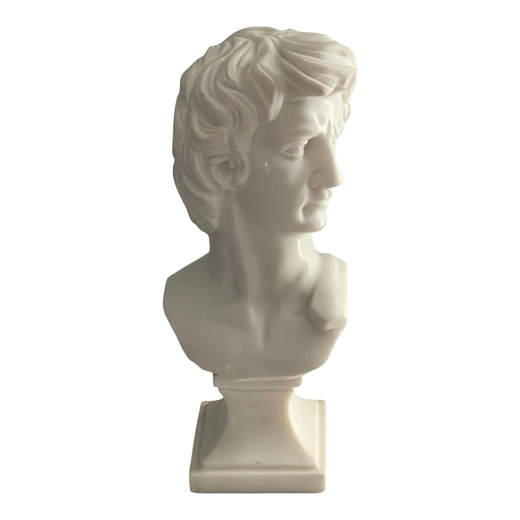 Neoclassical Italian Marble Hand Carved Michelangelo “David” Bust