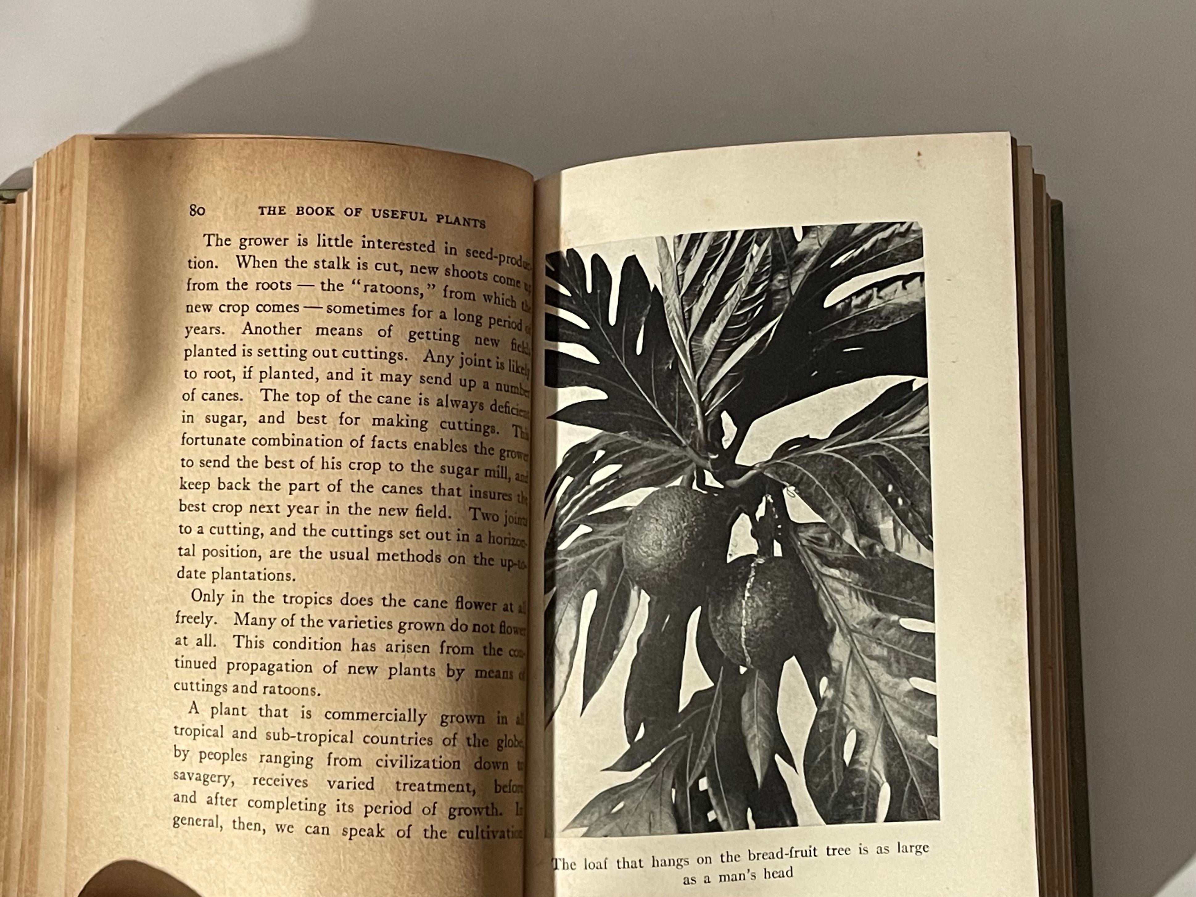 “Useful Plants” Antique Hardcover Book