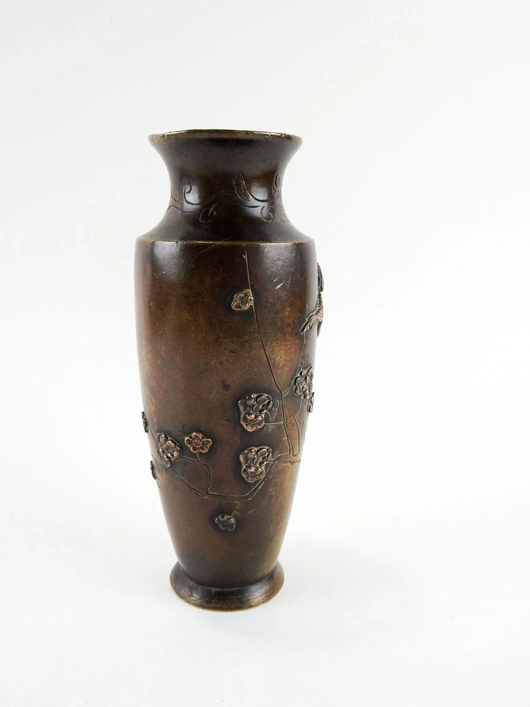 ビカクシダAuburn (Lisawa) x Copper will Japanese Bronxe & Copper Mixed Metal Vase