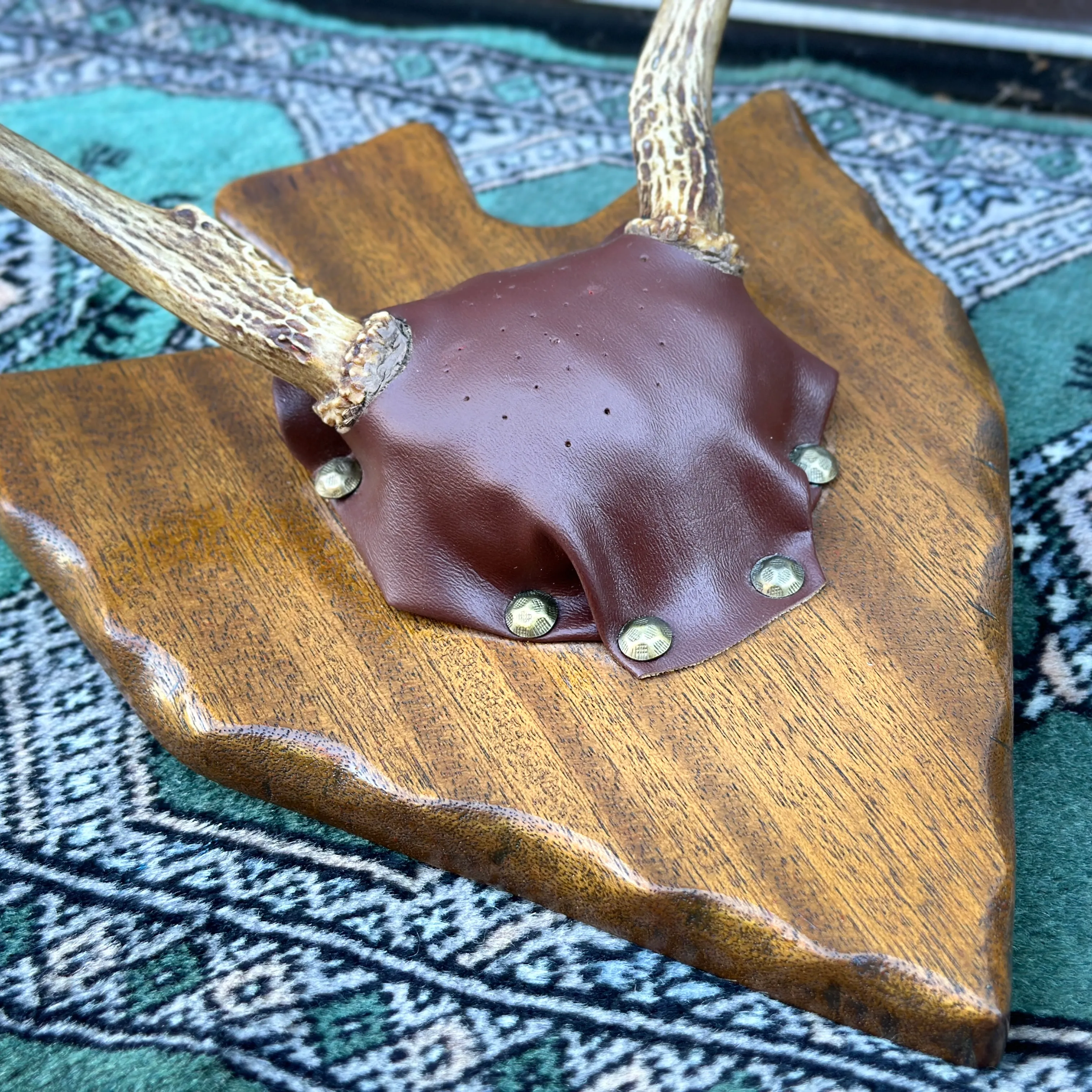 Vintage Deer Antlers Bowhunting Trophy Mounted on Arrow Shaped Carved Mahogany Wood1964 Citadel of Cairo Egypt Architectural Photograph