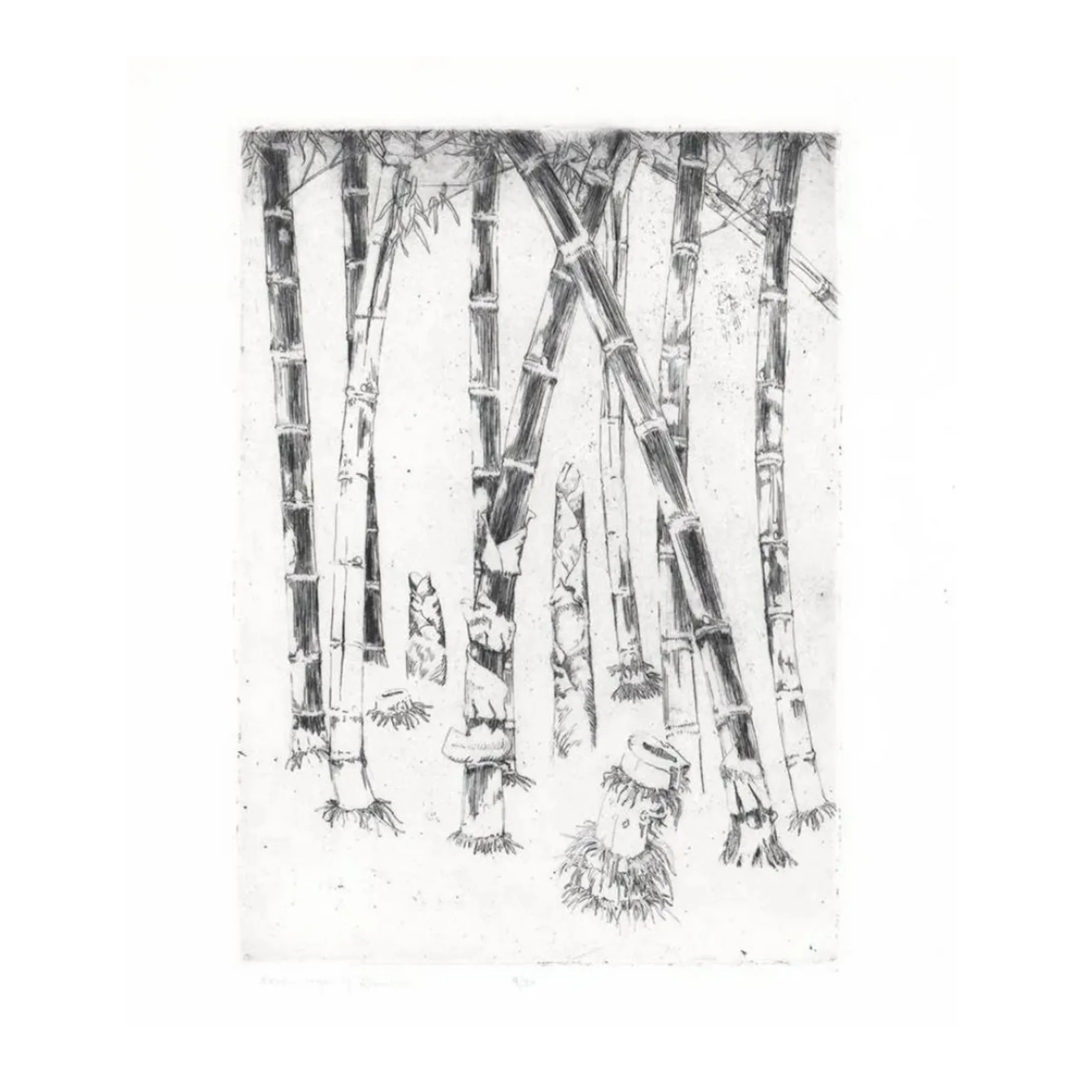 Seven Ages of Bamboo Etching