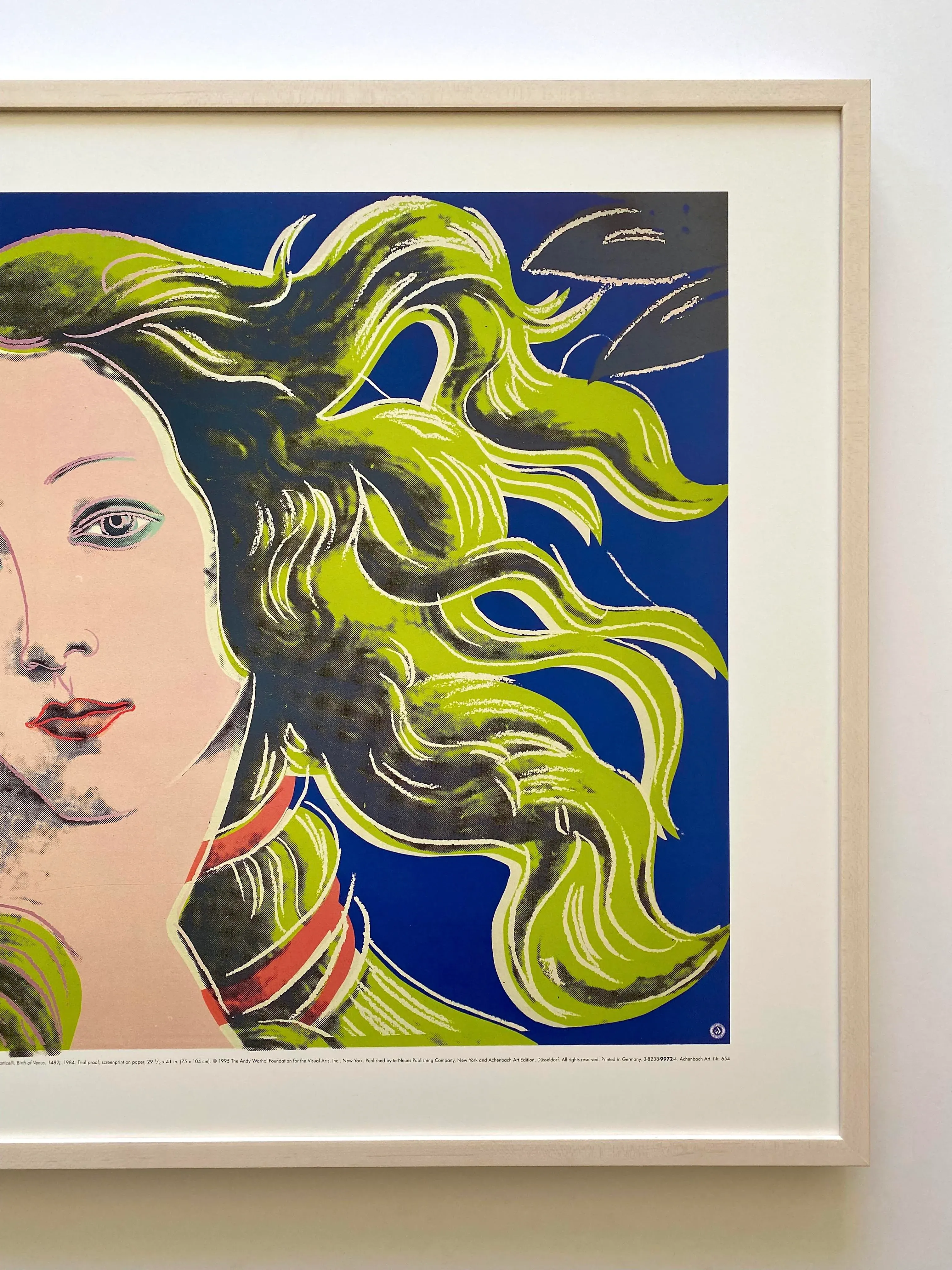 Andy Warhol Foundation Vintage 1995 Lithograph Print Framed