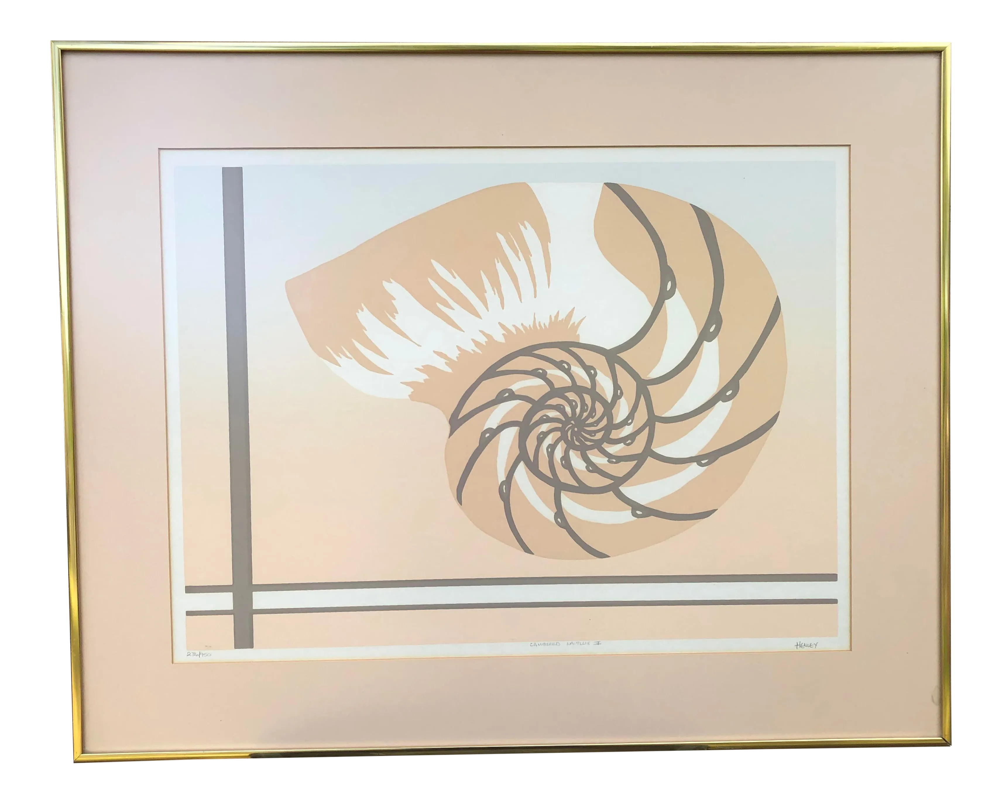 Chambered Nautilus Shell Lithograph Signed By Artist Chairish