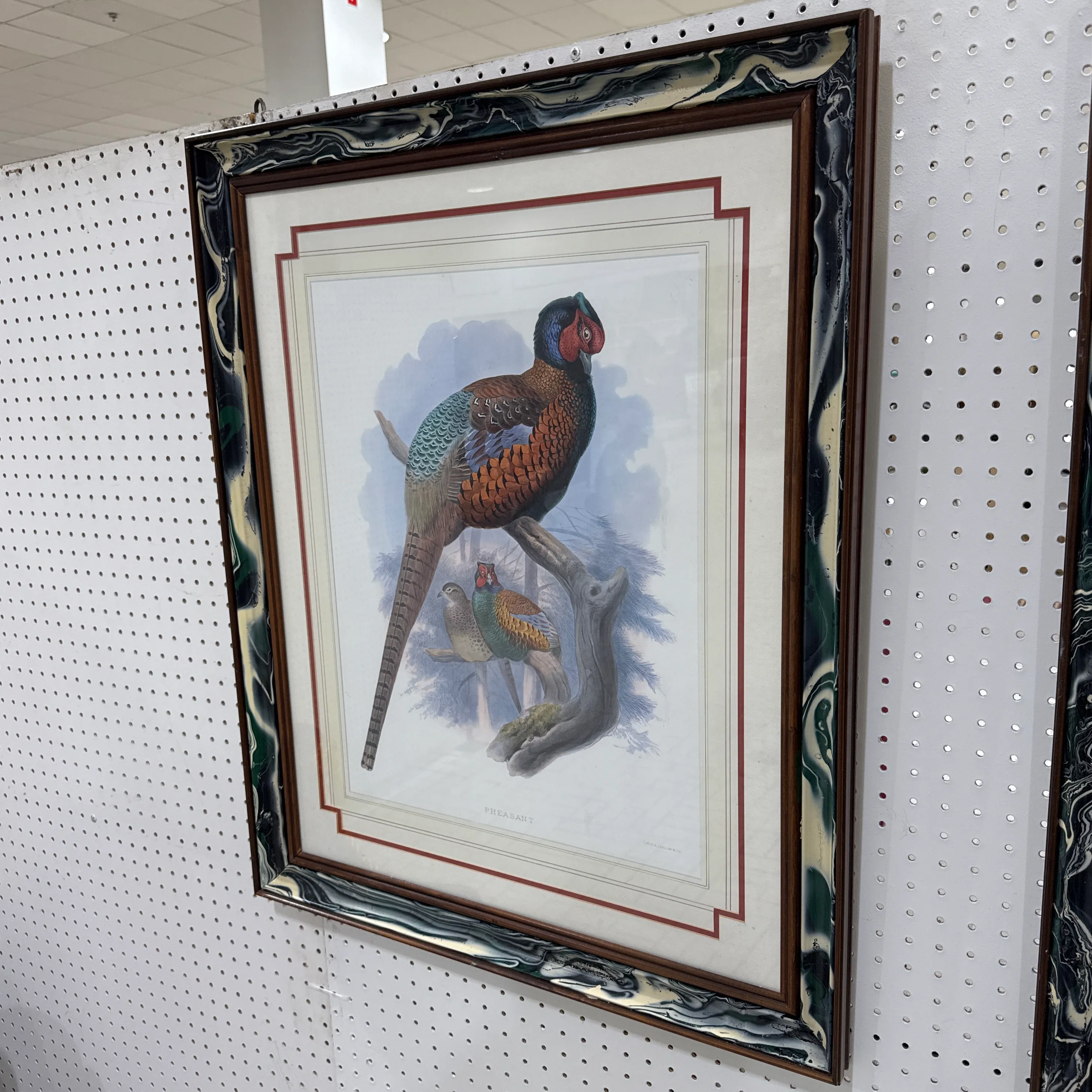 Vintage Pheasant Prints in Custom Lacquered Frames ~ a Pair