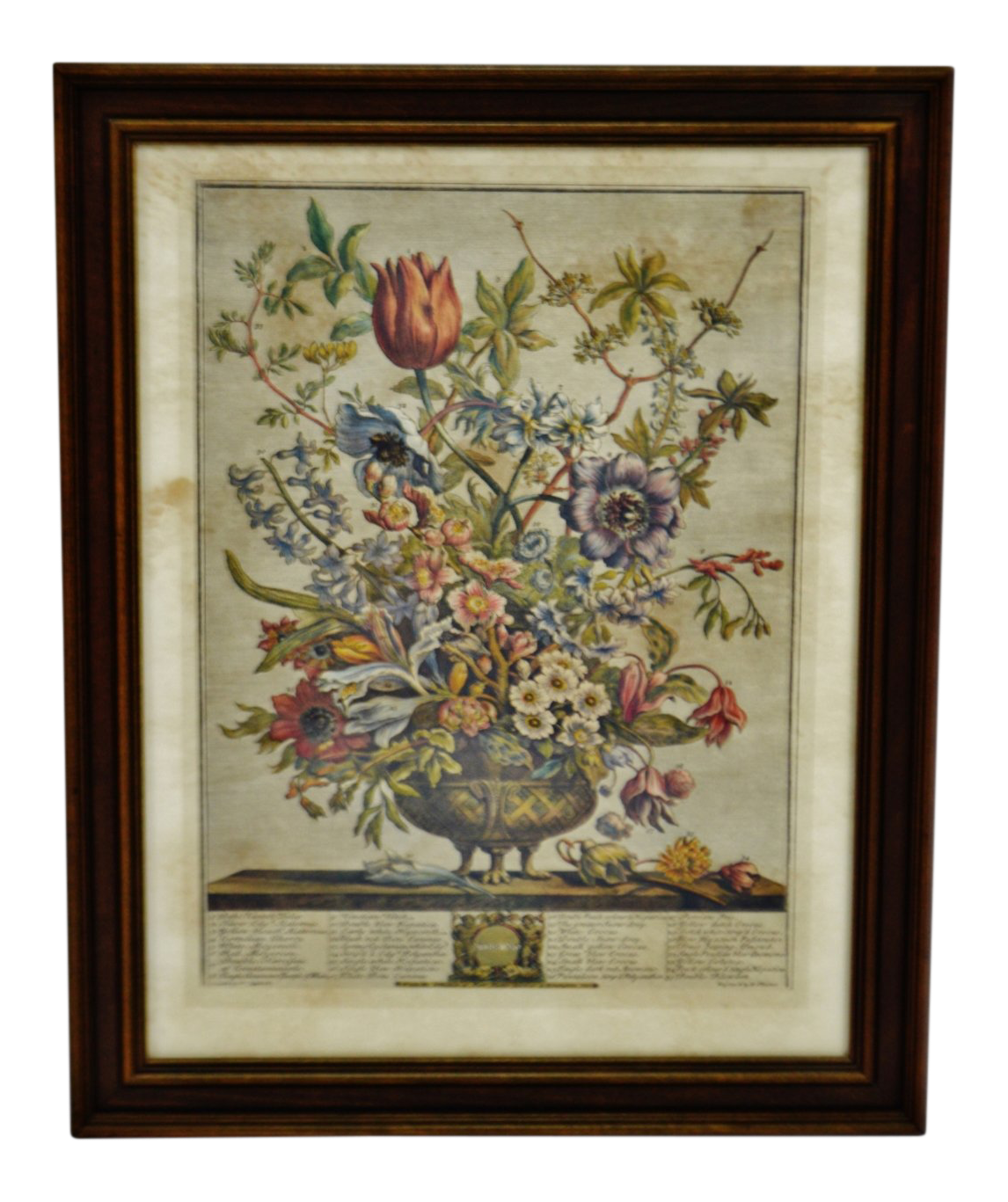 Vintage Framed Botanical Print February In Twelve Months Of Flowers By Robert Furber Chairish