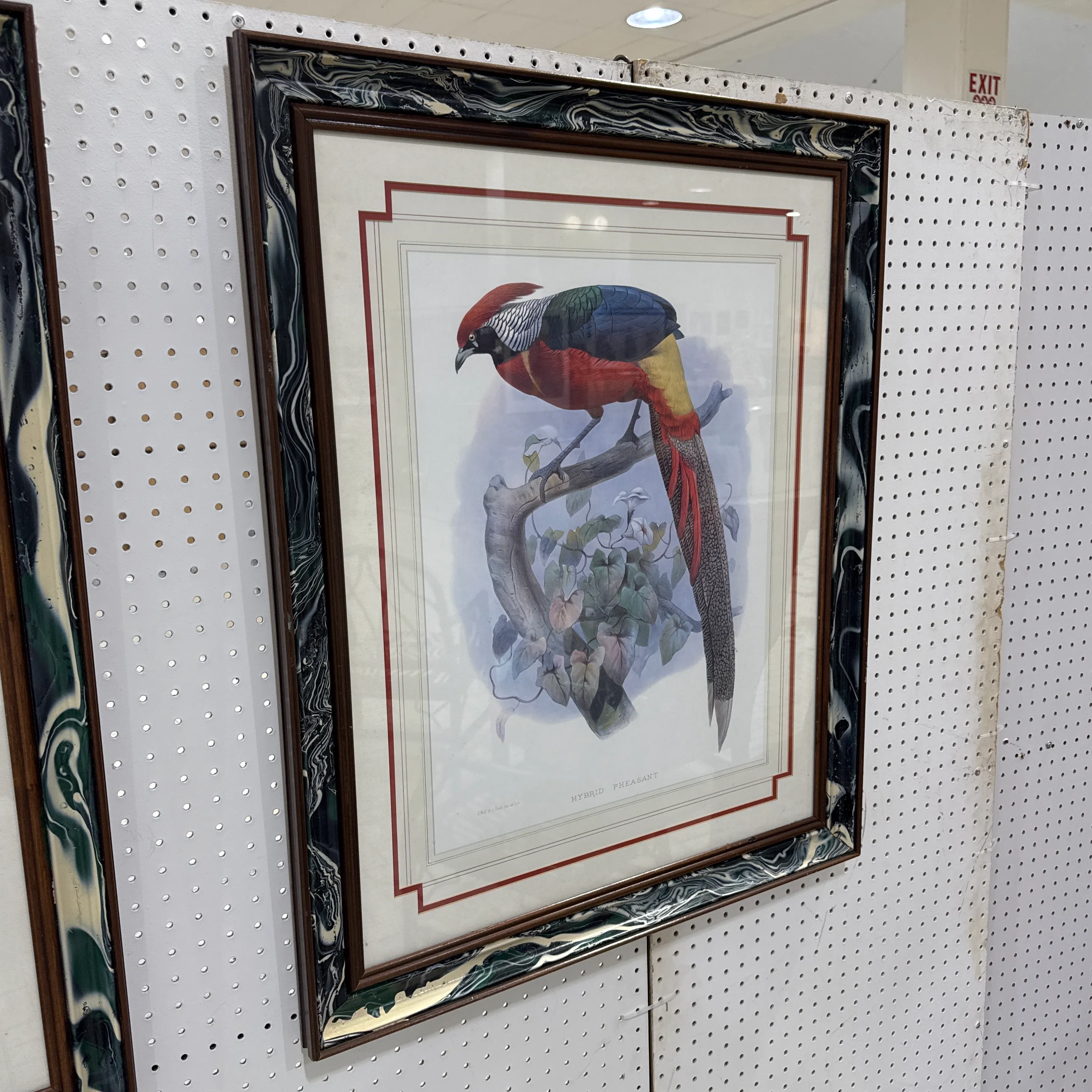 Vintage Pheasant Prints in Custom Lacquered Frames ~ a Pair