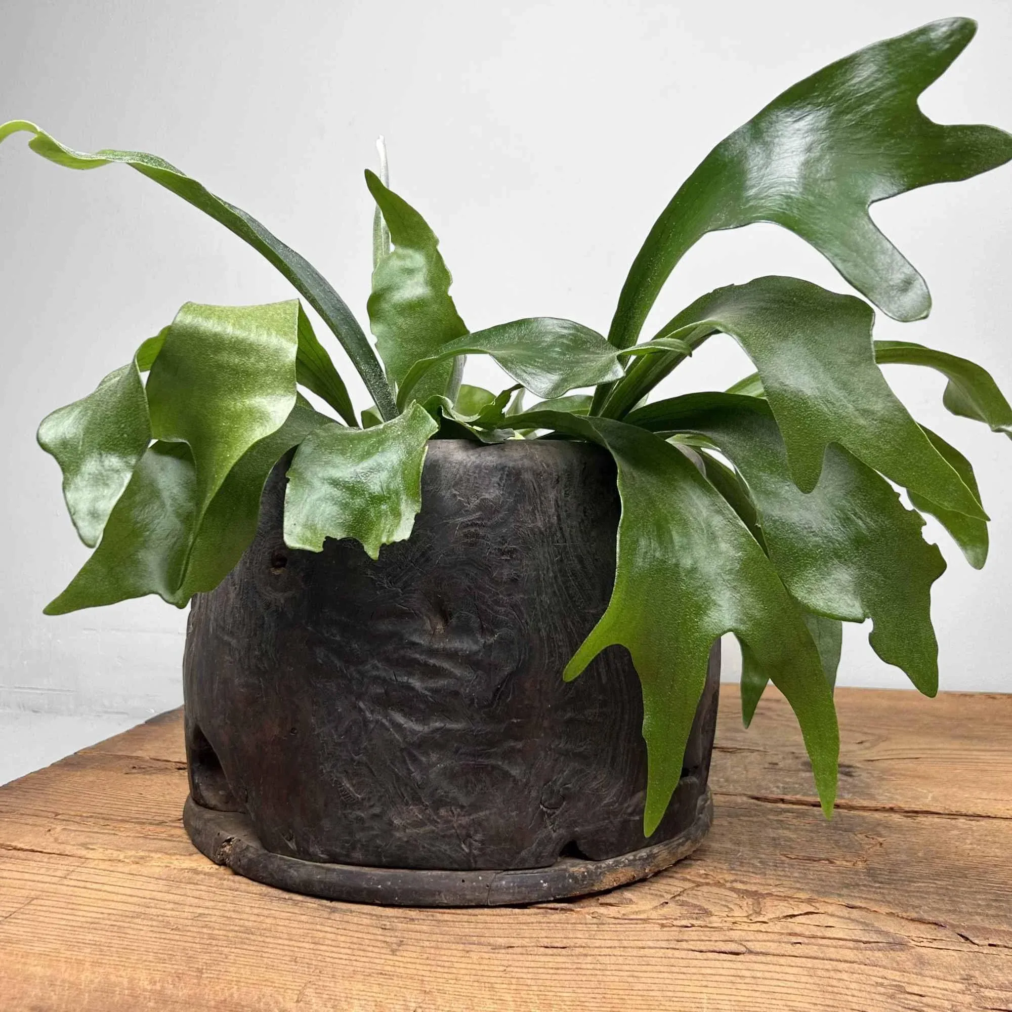 Antique Japanese Hibachi / Fire Pot