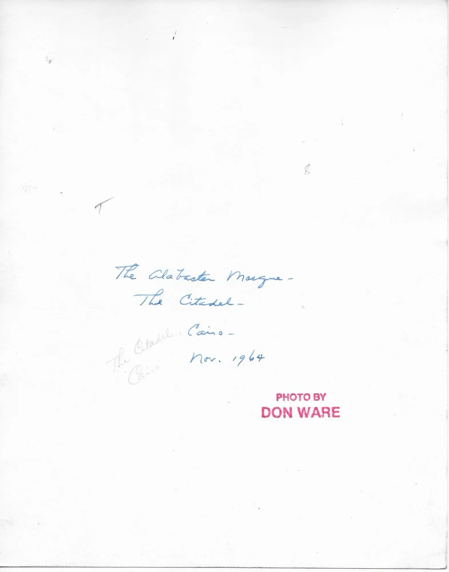 Vintage Deer Antlers Bowhunting Trophy Mounted on Arrow Shaped Carved Mahogany Wood1964 Citadel of Cairo Egypt Architectural Photograph