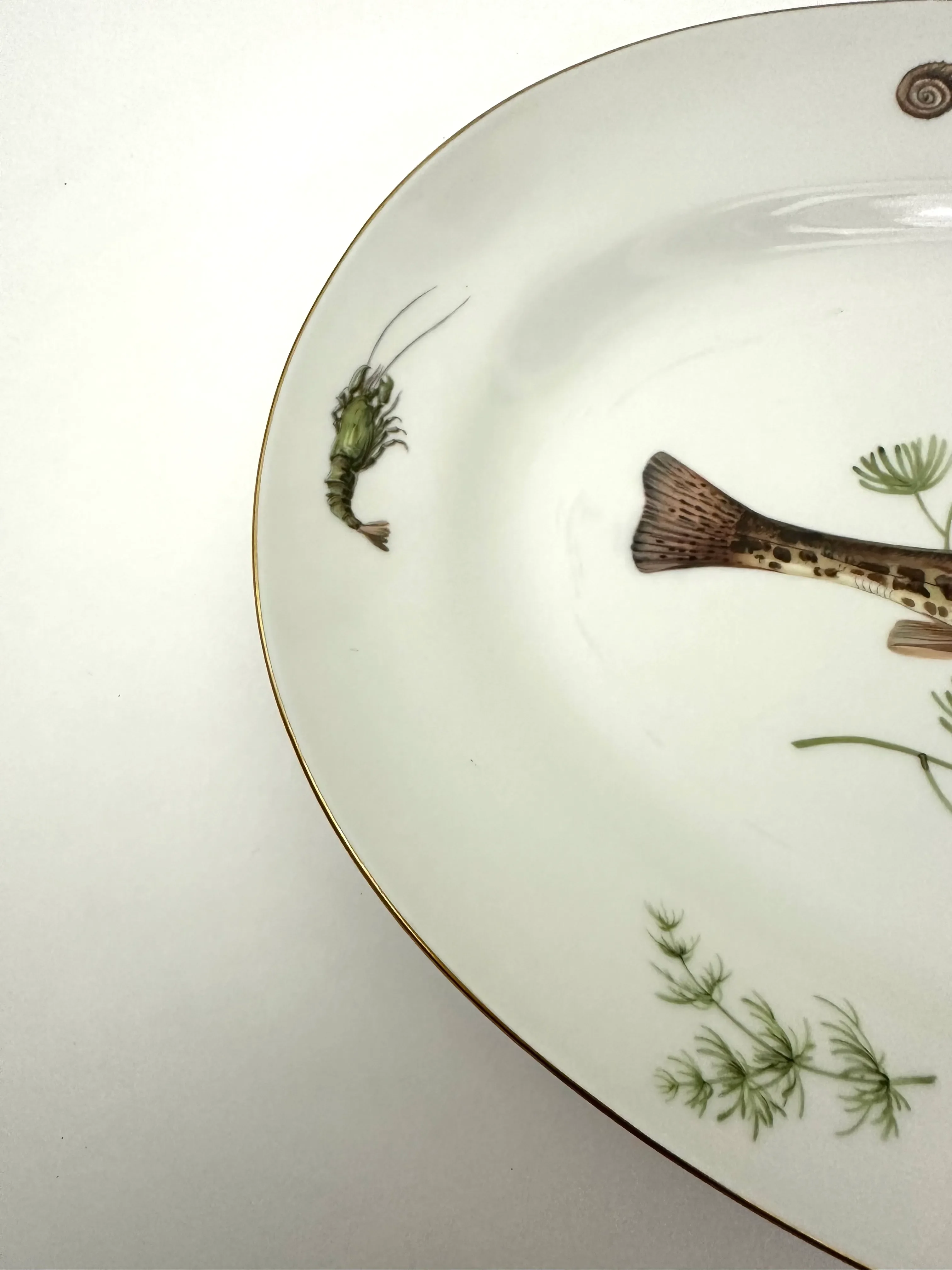 Richard Ginoriの食器Verona 1990s Richard Ginori Fish Quenelle Oval Platter | Chairish