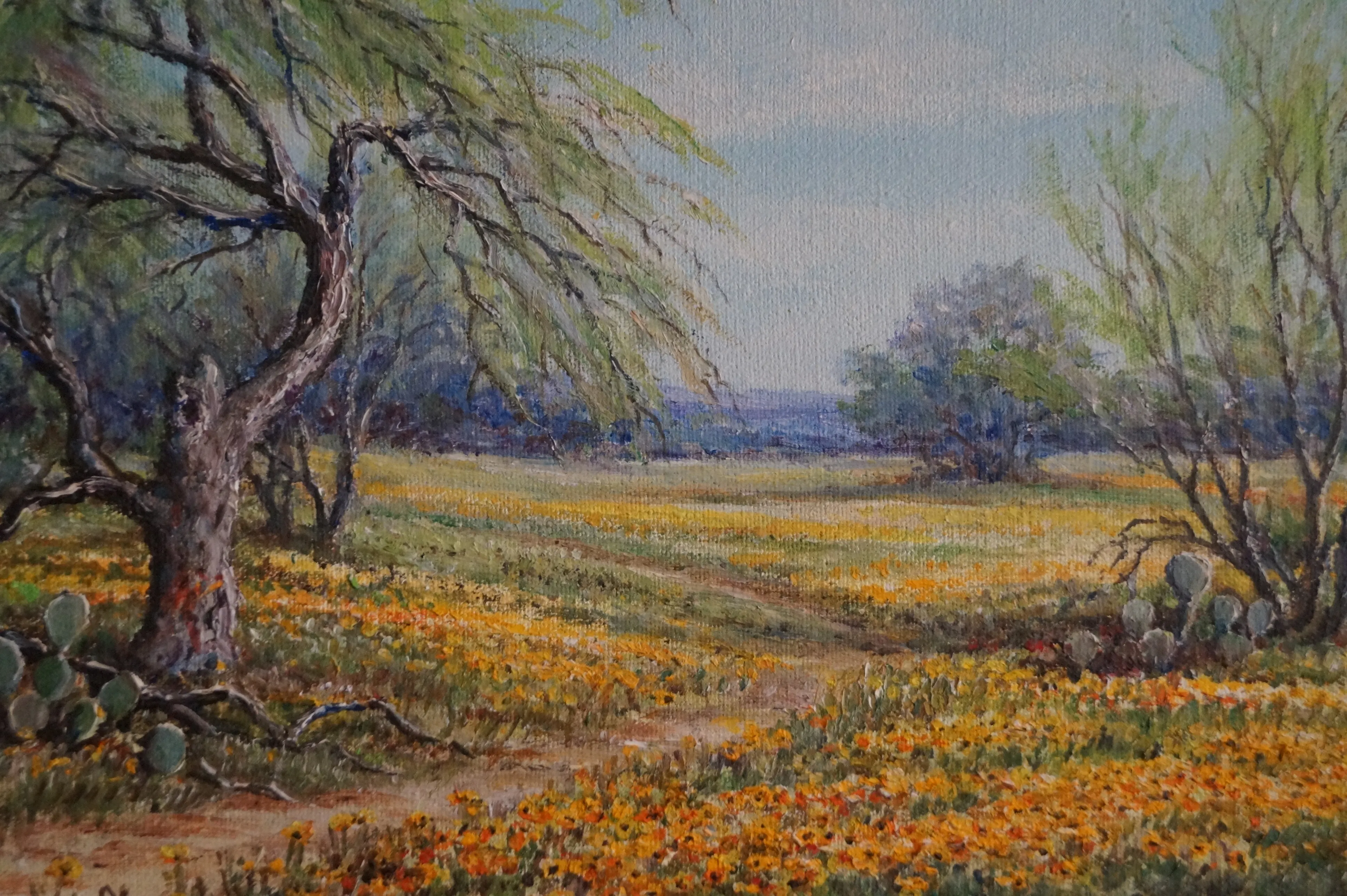 アート・デザイン・音楽 The Enchanted Landscape Photographs