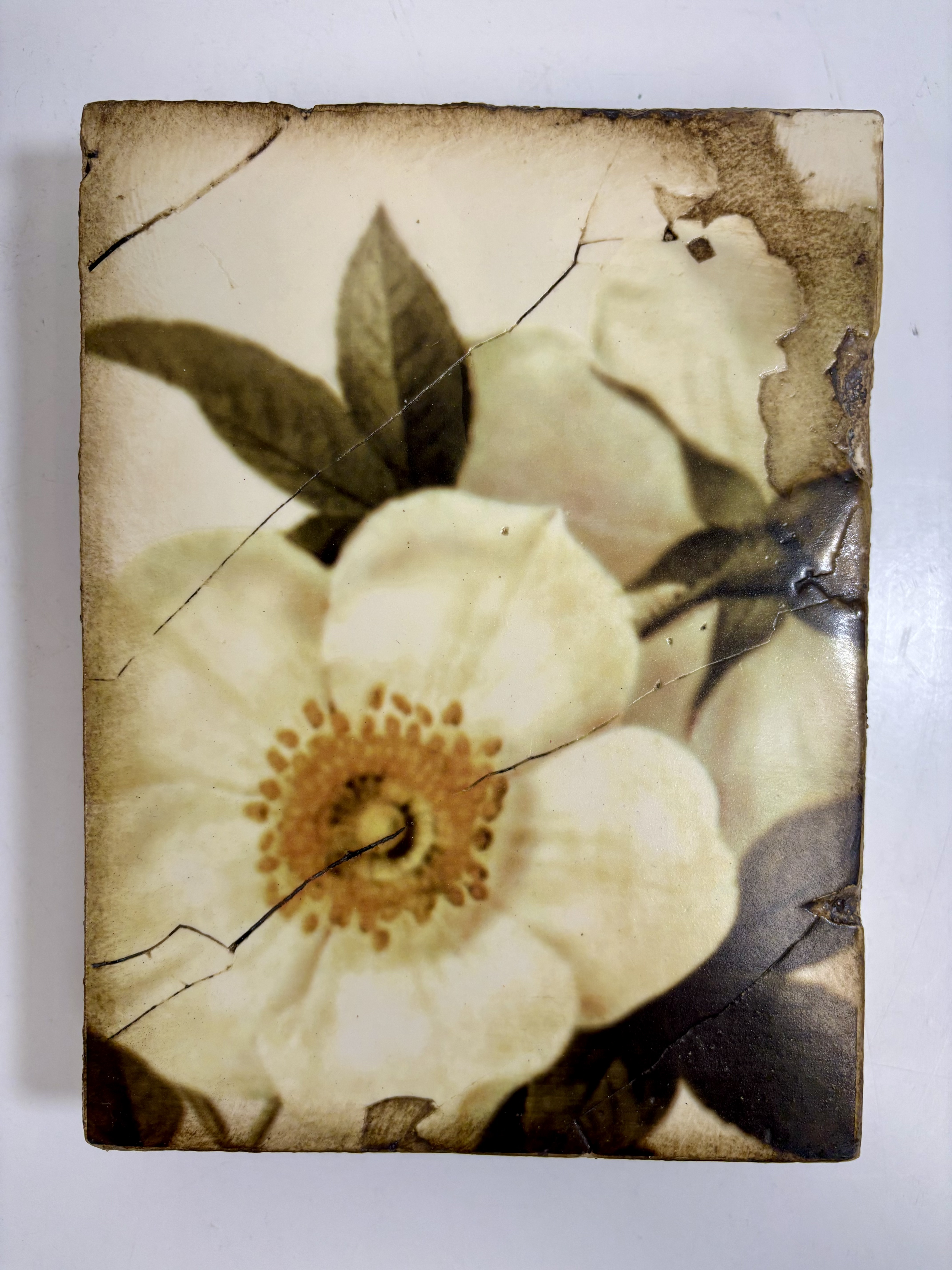 1990s Sid Dickens Memory Block, Wild Rose (T-114) Retired | Chairish