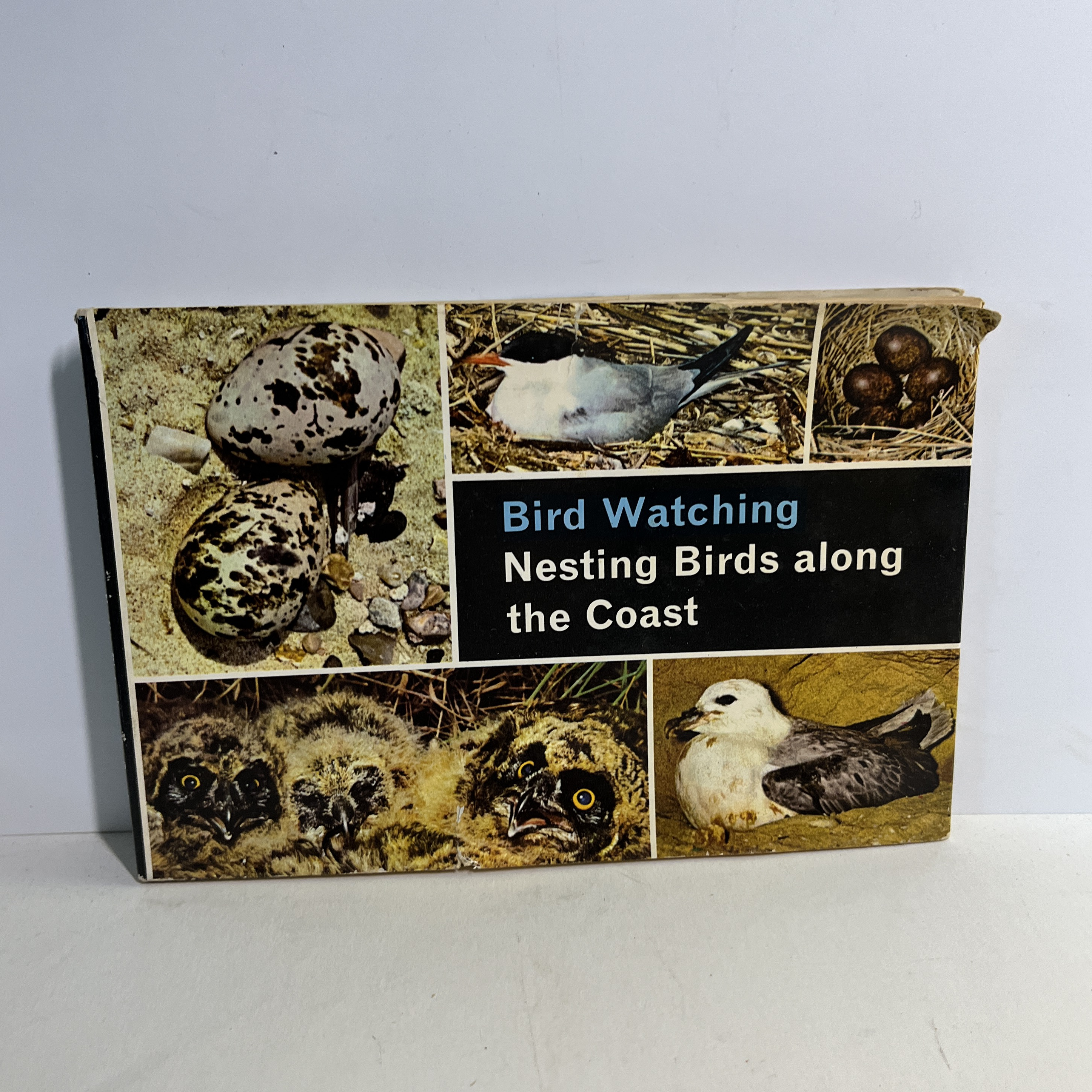 Vintage Bird and Birding Books Set/10