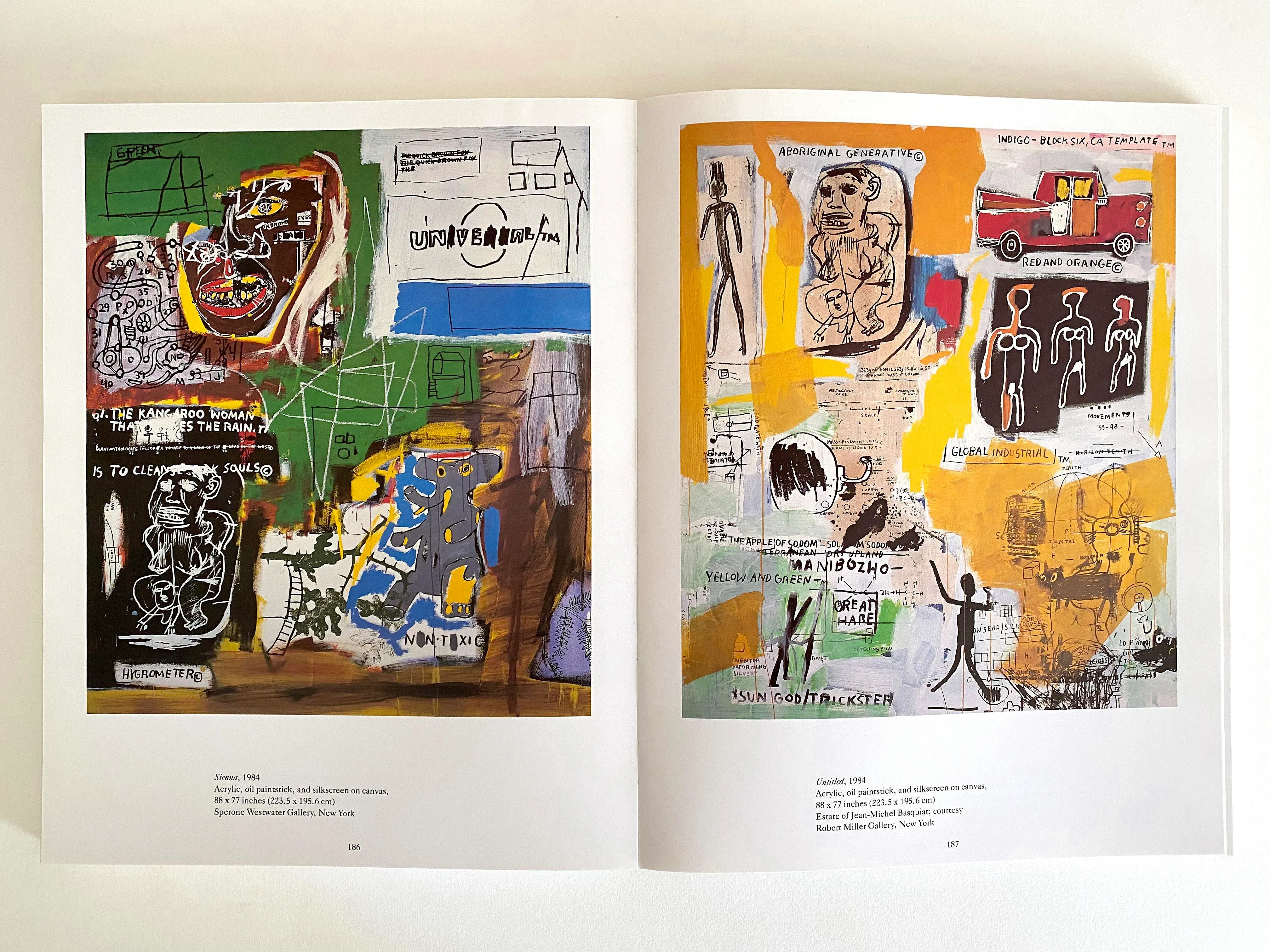 Basquiat ヴィンテージブック Jean-Michel Basquiat | JEAN-MICHEL BASQUIAT | First edition