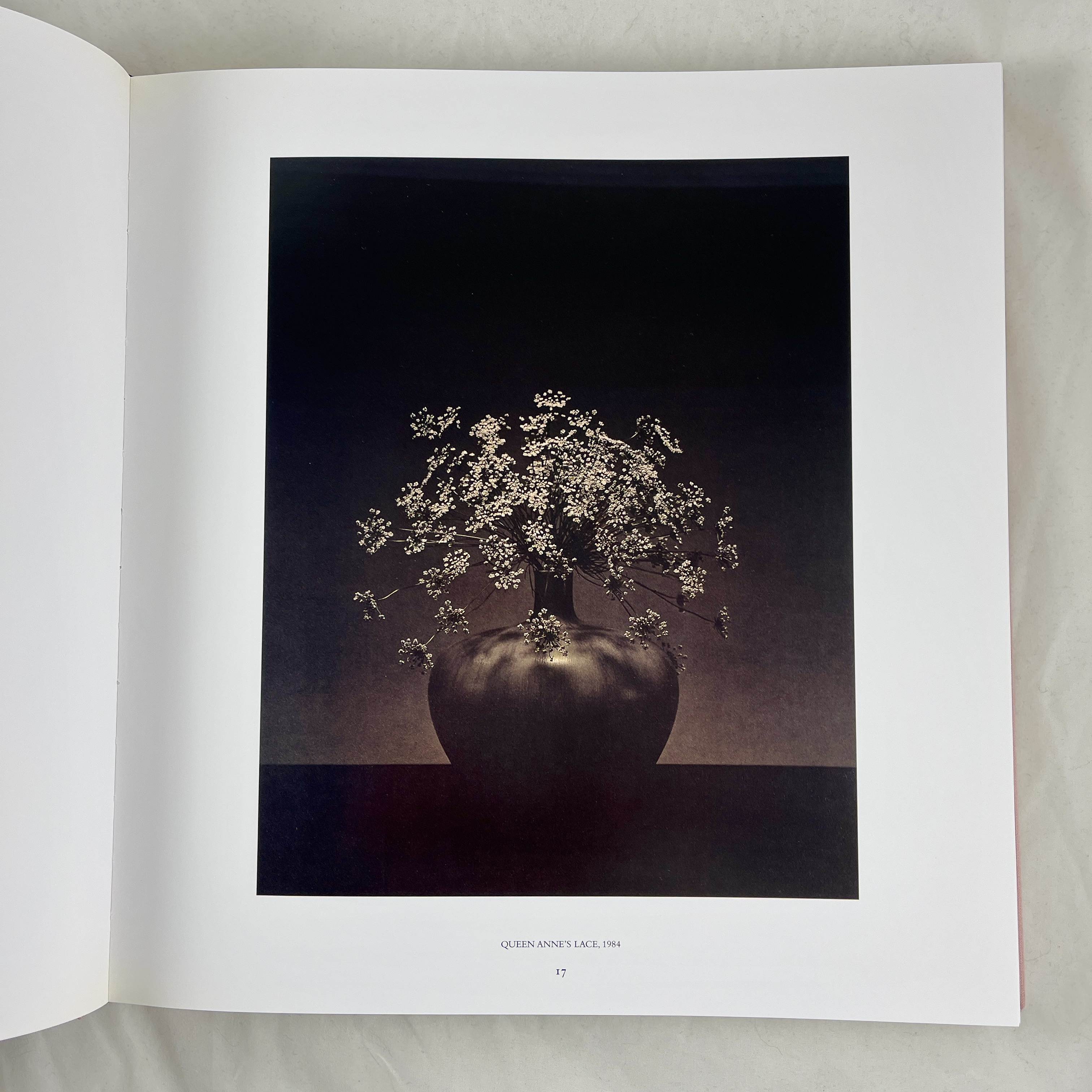 Pistils - Robert Mapplethorpe, Photography Hardcover Cased