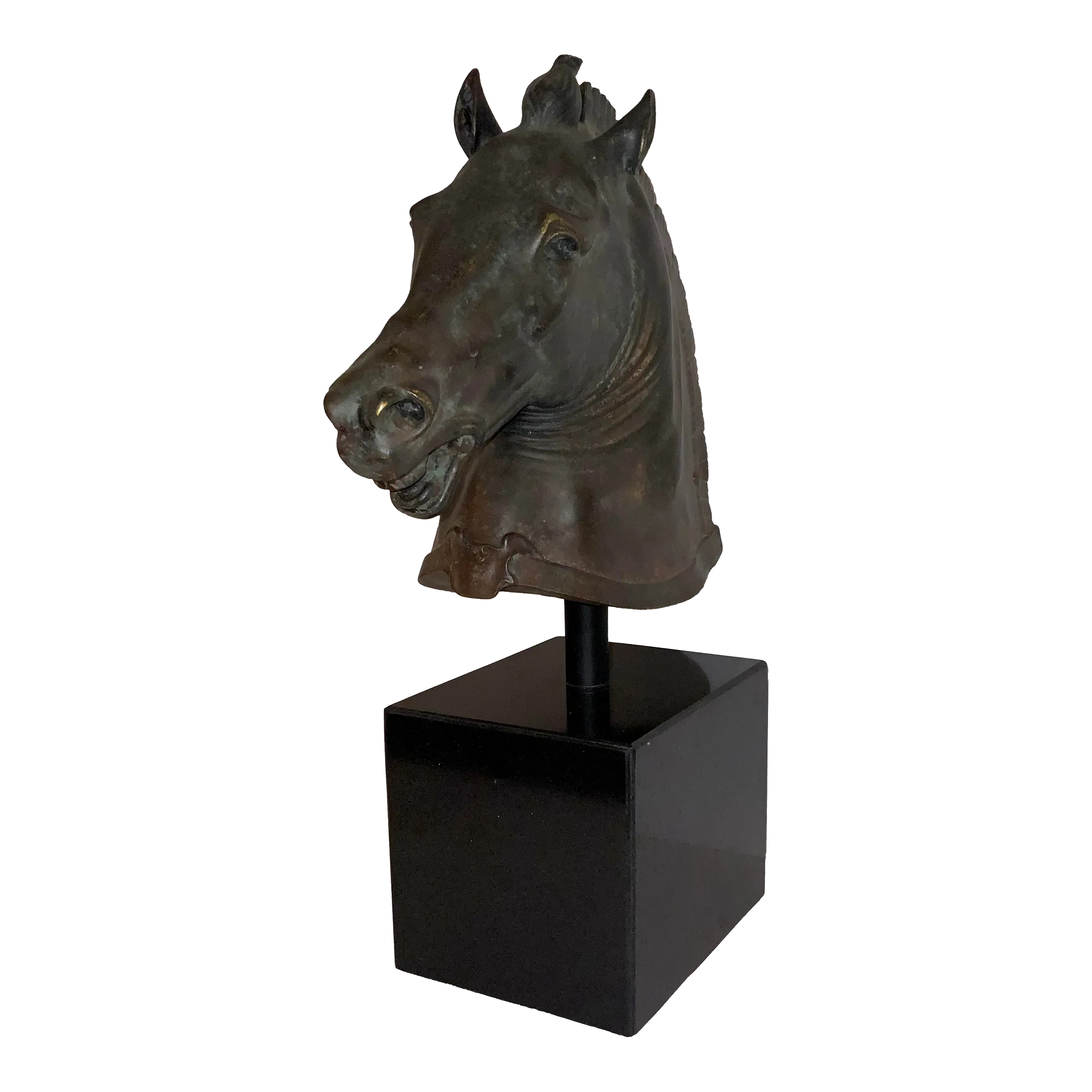Transitional Bronze Finished Trojan Horse Bust Sculpture Chairish