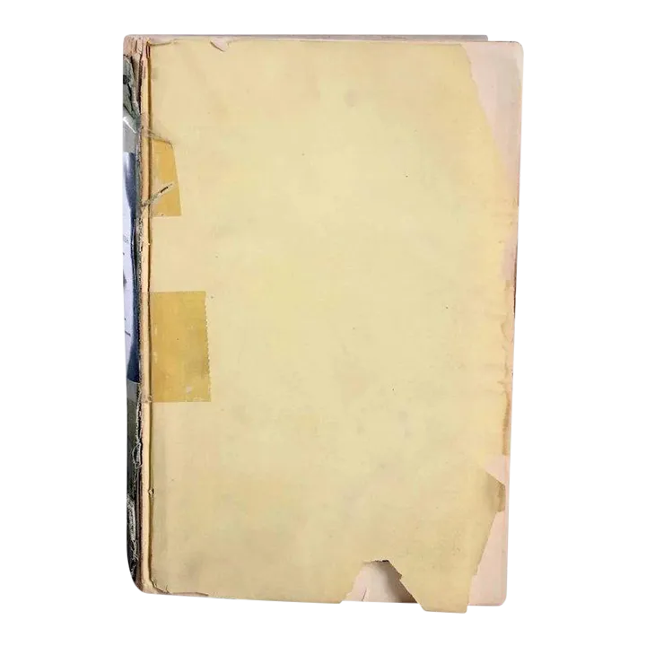 Mid 19th Century Biographical & Critical Dictionary of Painters & Engravers by Michael Bryan Book1960s Indiana “Pineapple & Floral (Clear)” Set of 16 Glass Bread Plates