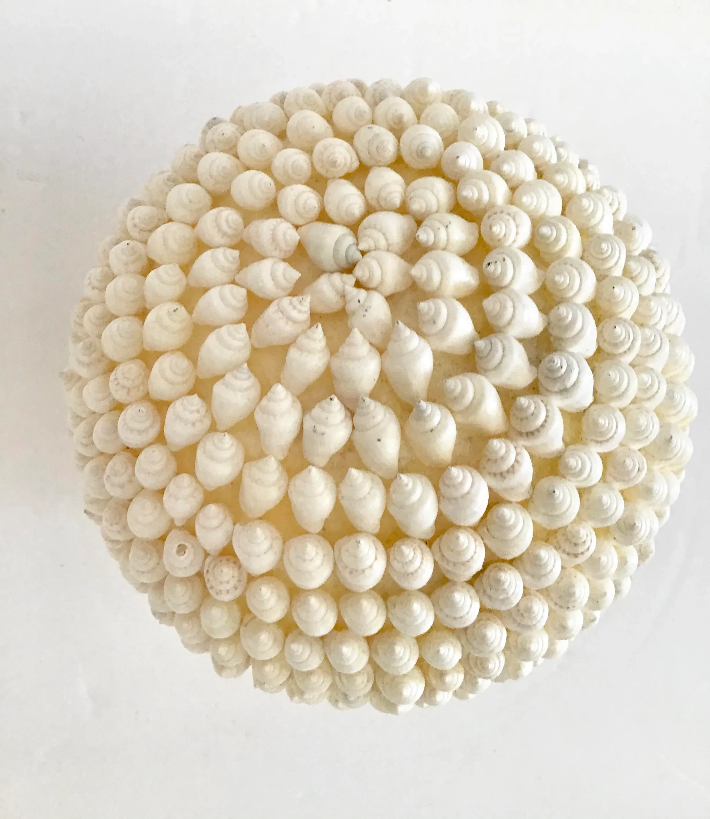 1970s Off-White Shell Encrusted Ball