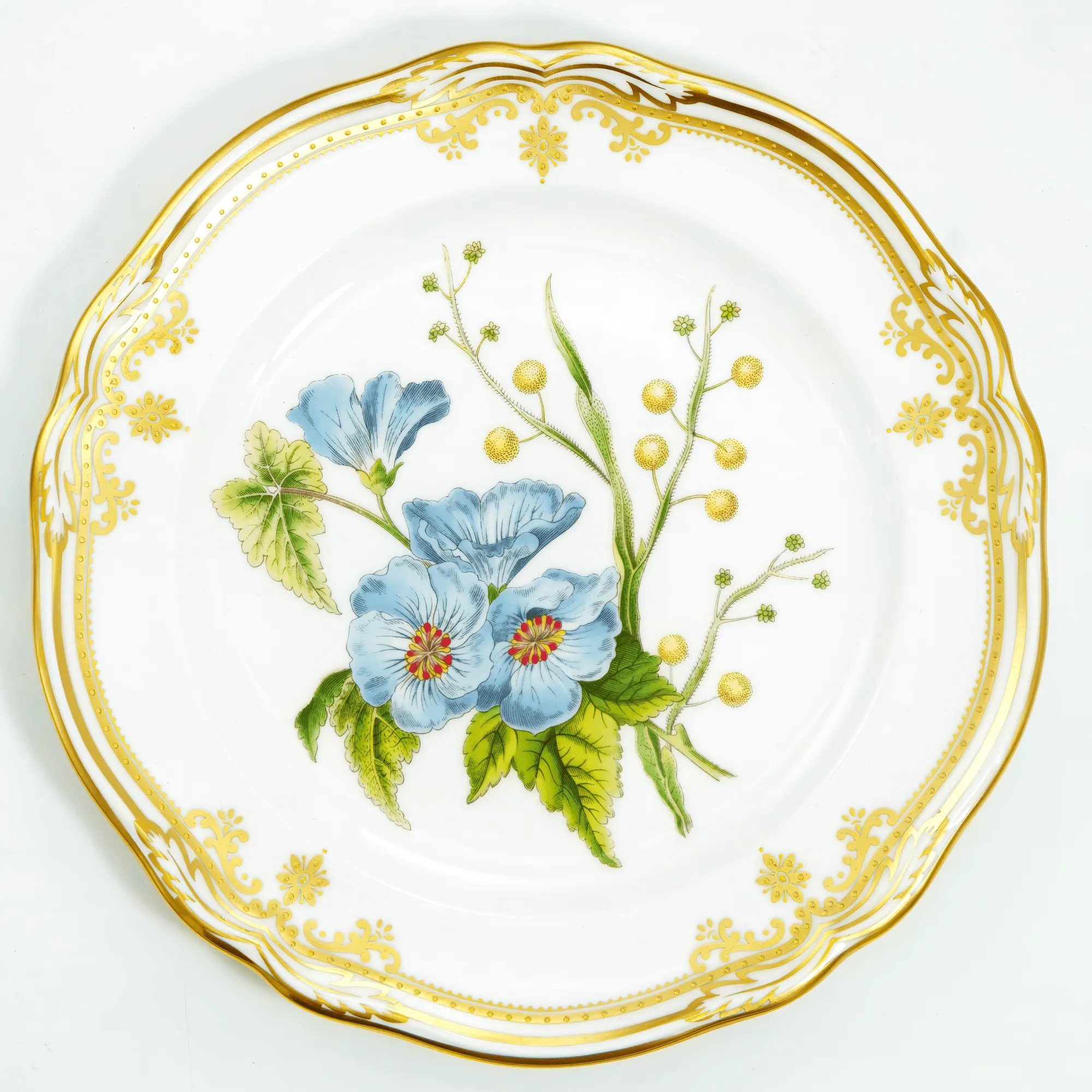 1980s Spode Stafford Flowers Sida & Acacia English Bone China