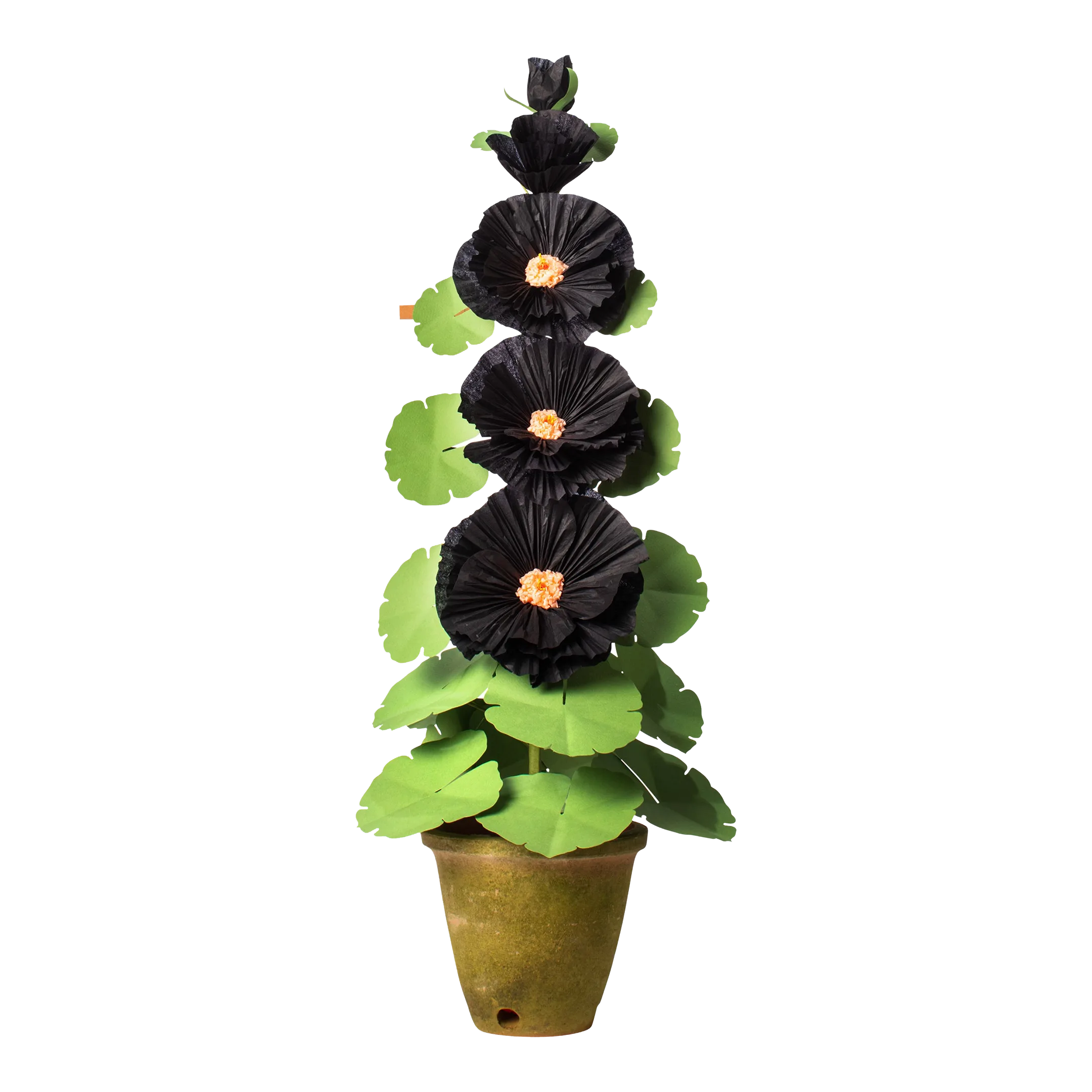 The Green Vase Hollyhock Plant Chairish