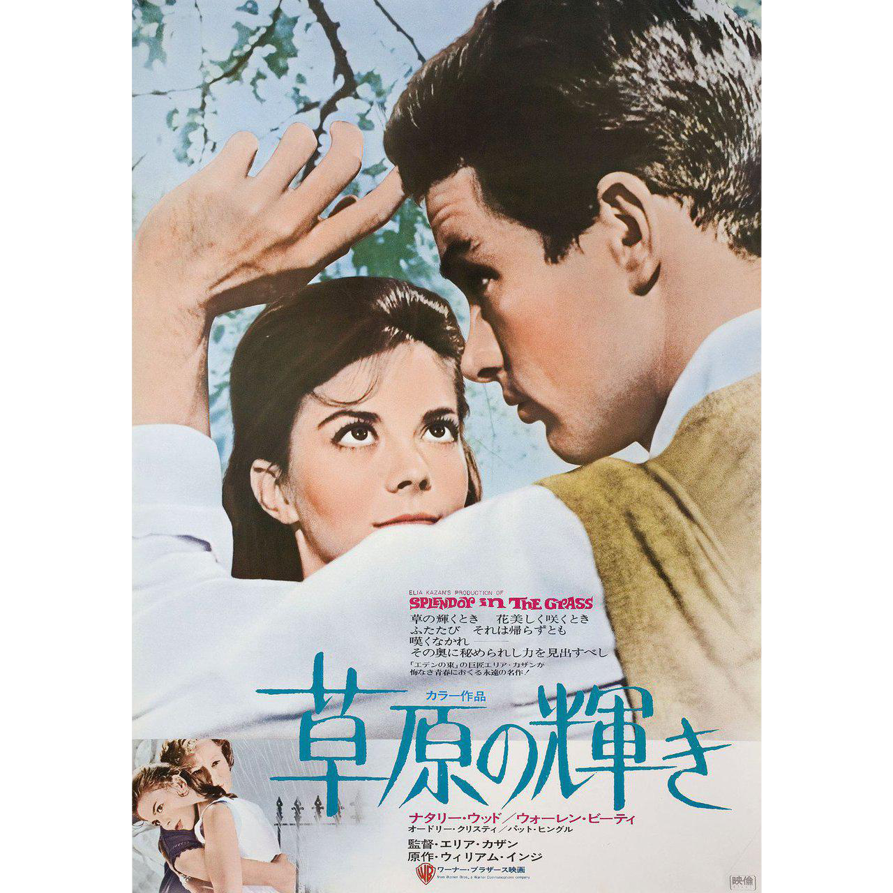 Splendor In The Grass R1972 Japanese B2 Film Poster Chairish
