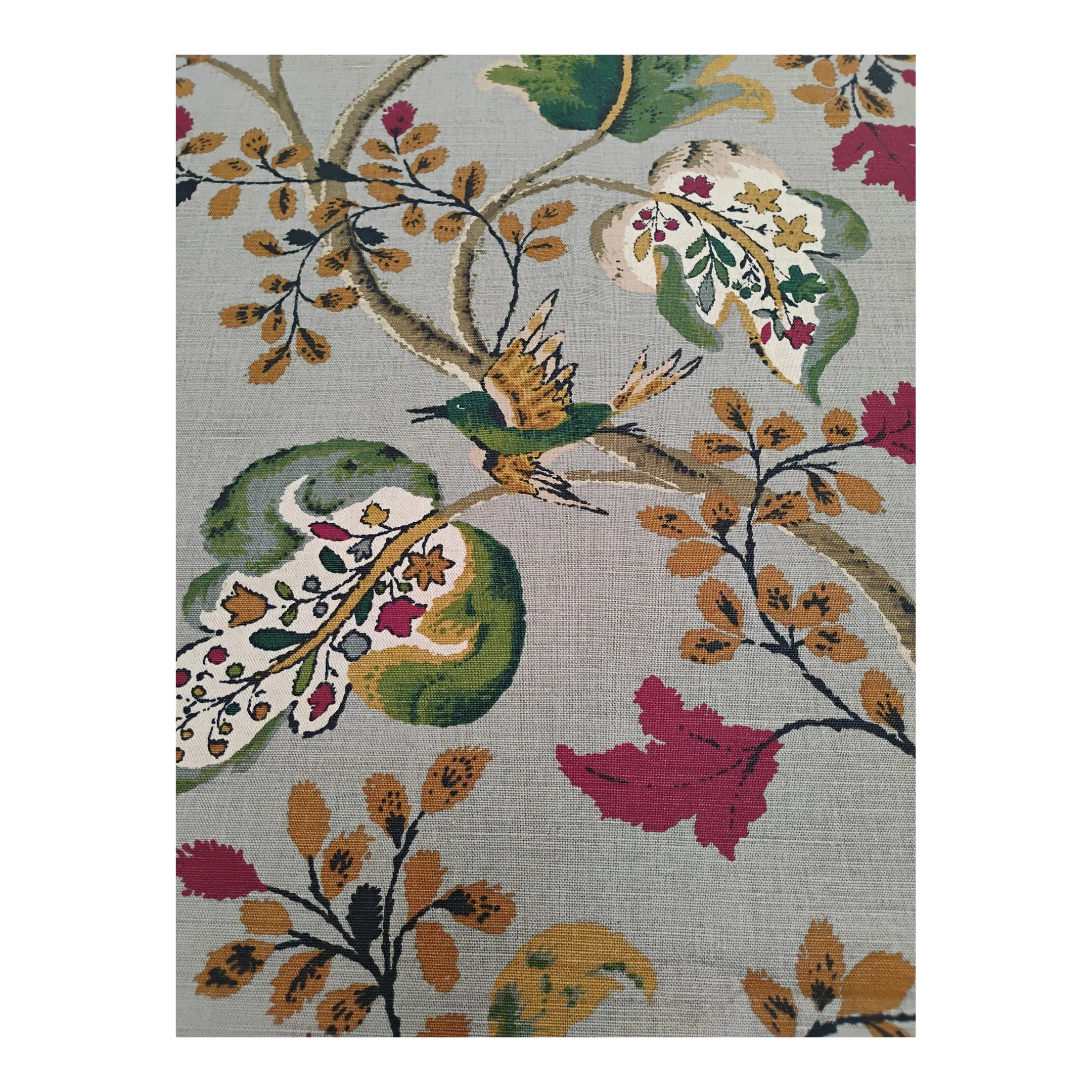 Schumacher / Jh. Thorp 