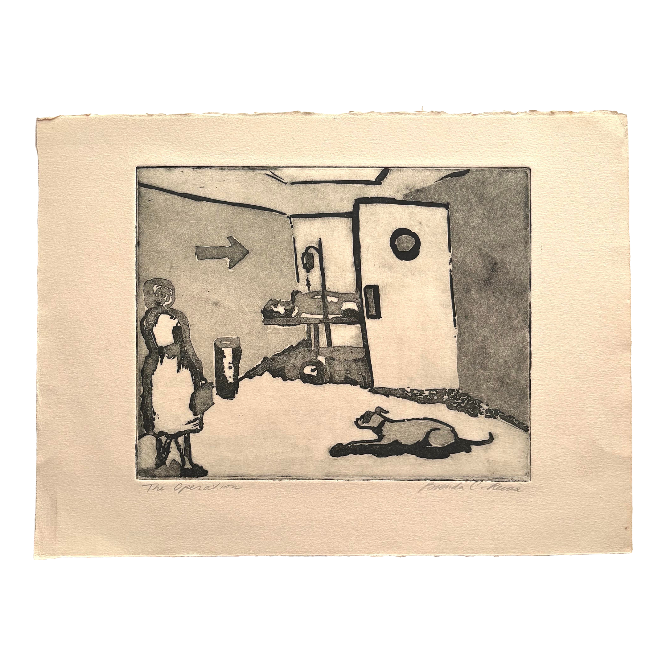 The Operation, Created by the Artist Brenda O\'Steen.