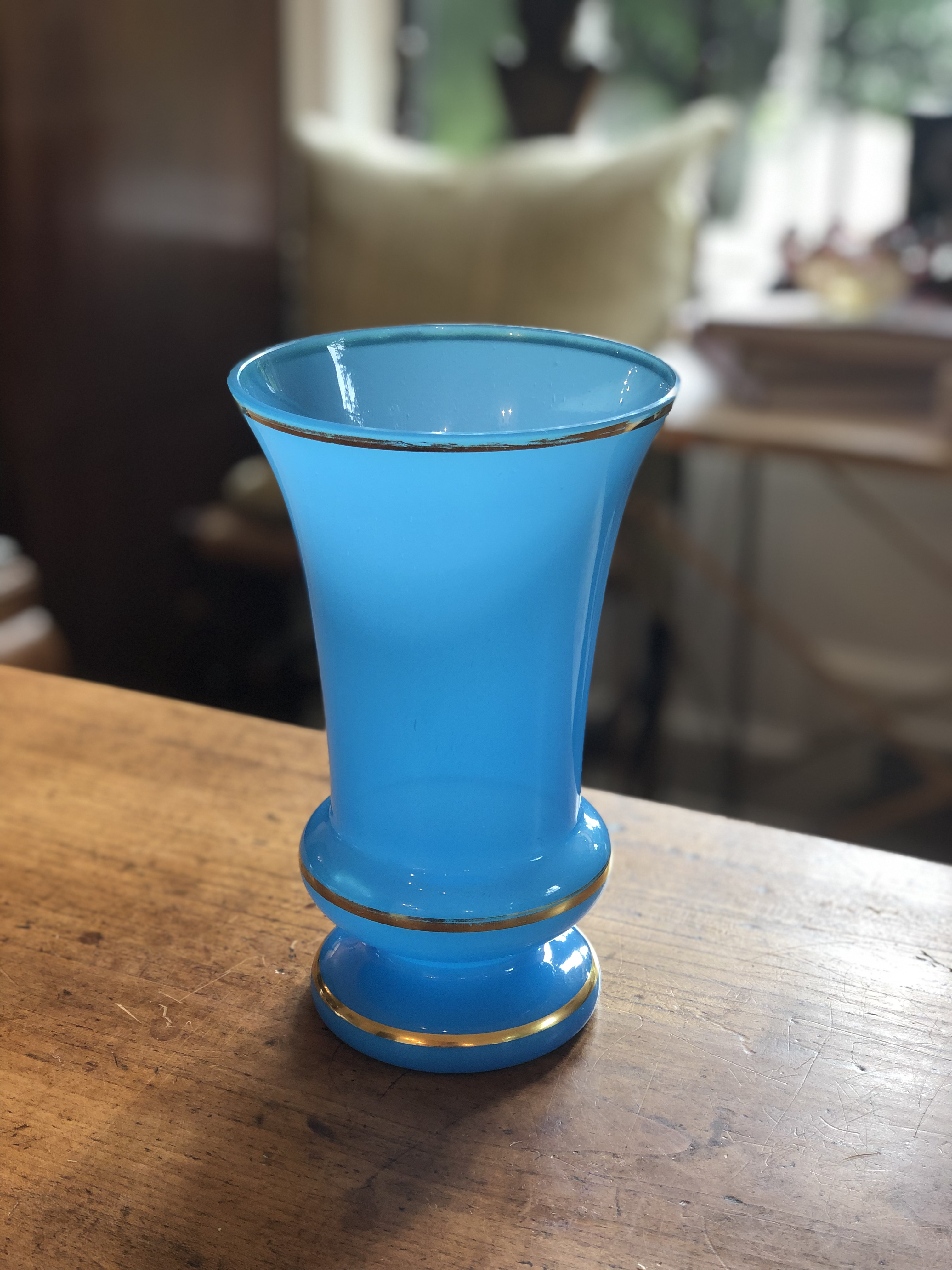 19th Century Blue Opaline Glass Vase With Gilded Trim | Chairish