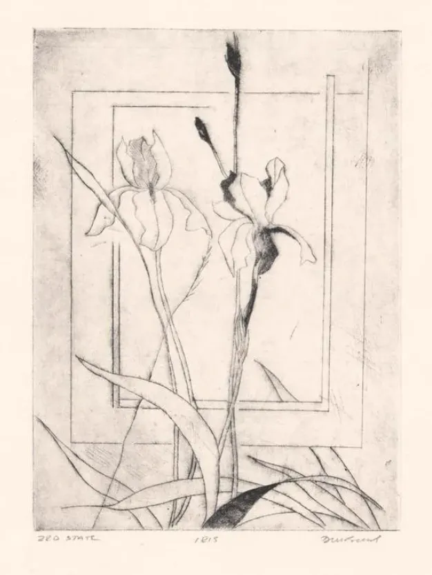David Baird Iris Etching