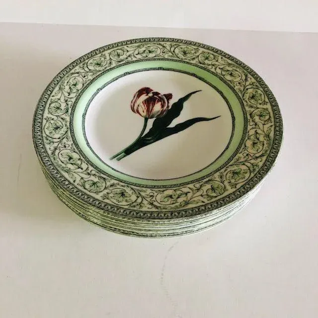 食器 horticultural society applebee The Royal Horticultural