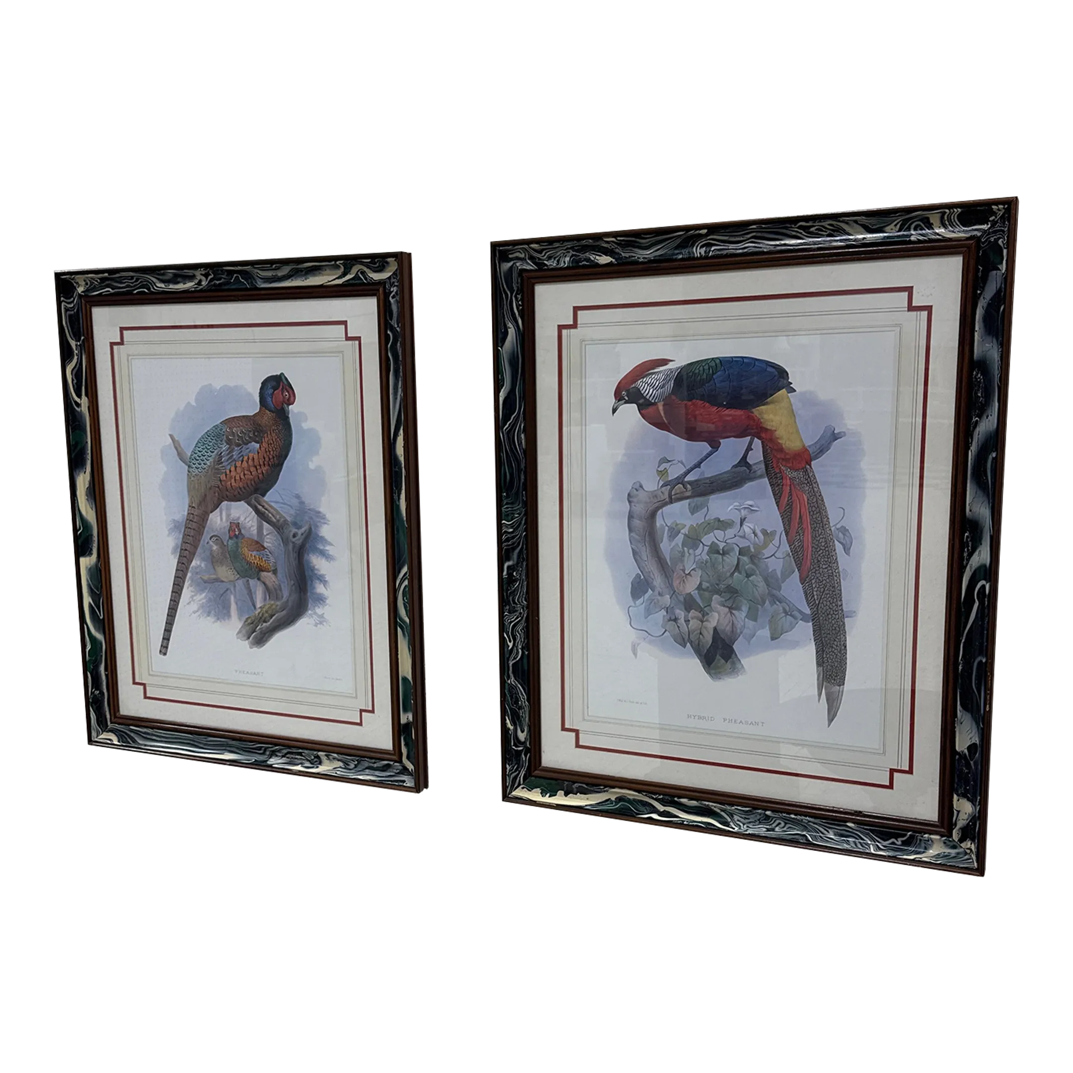 Vintage Pheasant Prints in Custom Lacquered Frames ~ a Pair