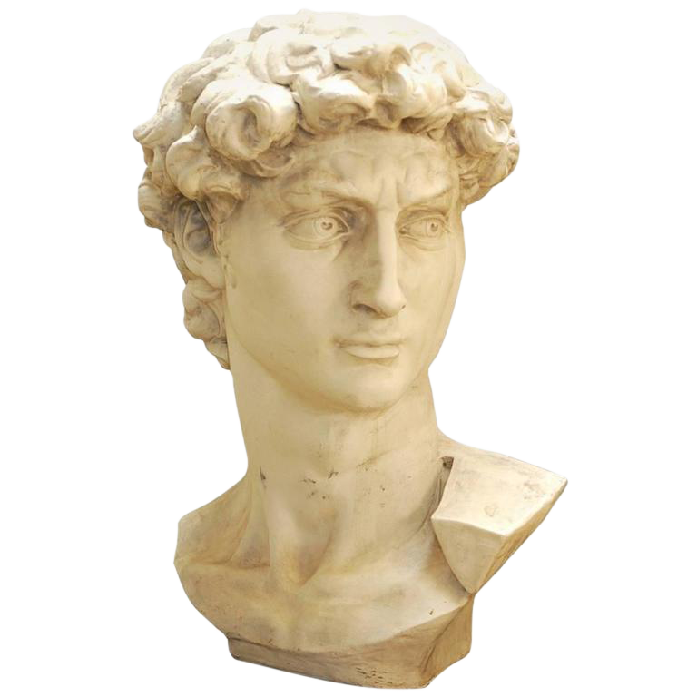 Michelangelo's David Monumental Bust Chairish